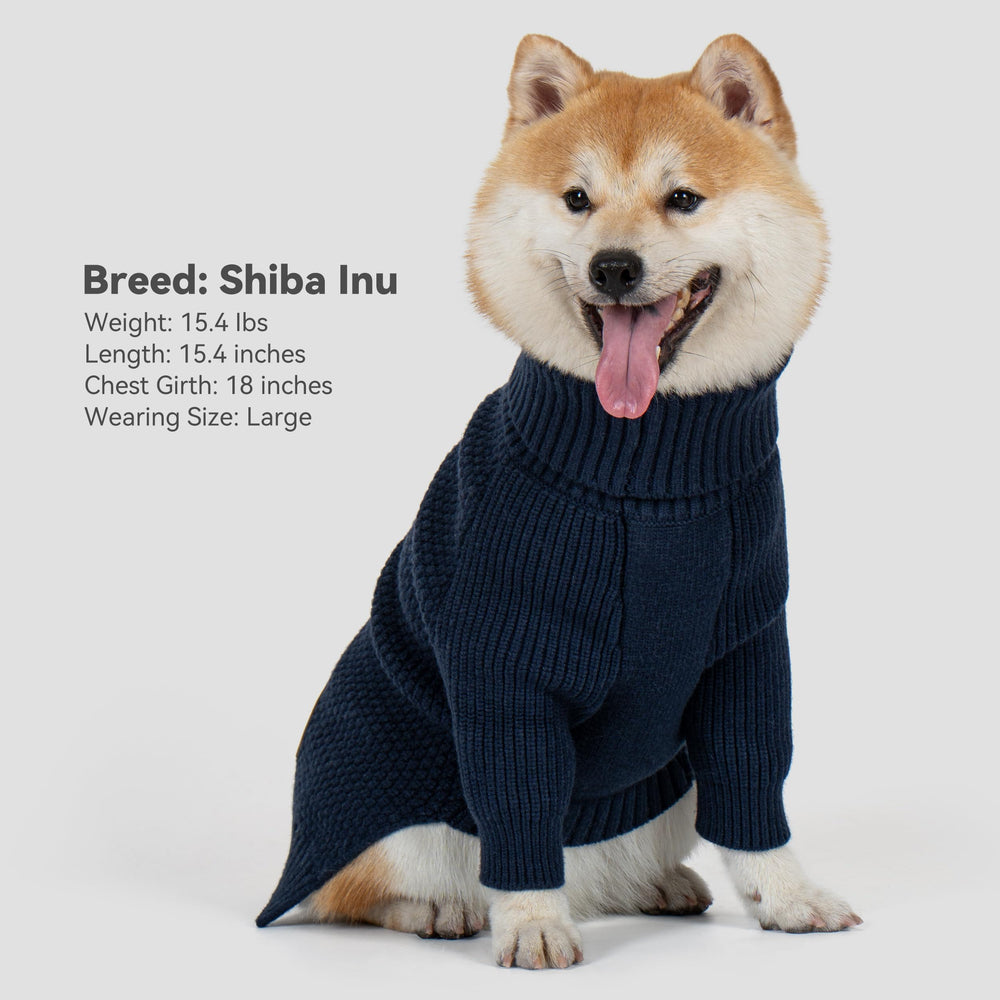 cyeollo 2XL dog sweater lifestyle shot with Beagle staying cozy