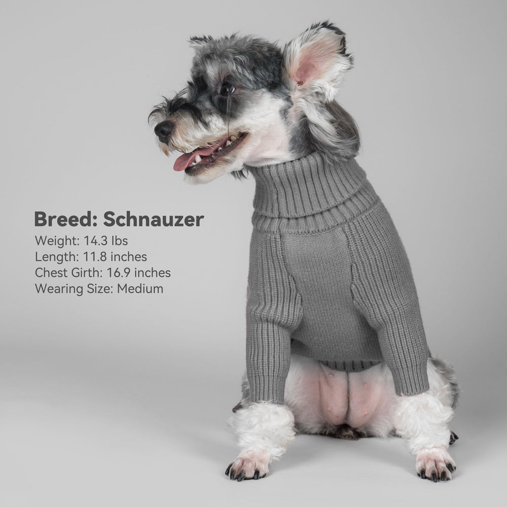 cyeollo 4XL dog sweater on large male dog seated comfortably