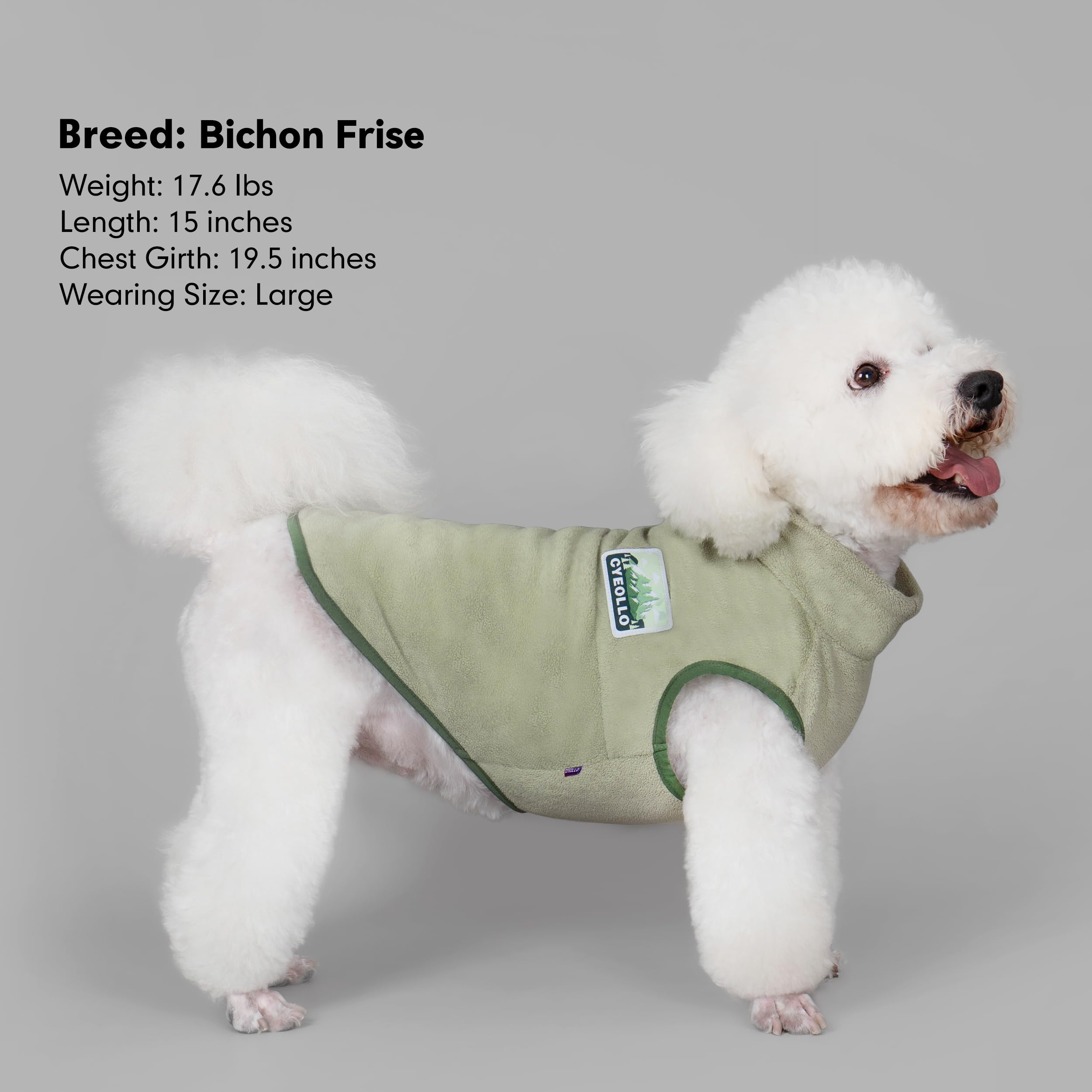 Cyeollo all-breeds size range showcased for better fit.
