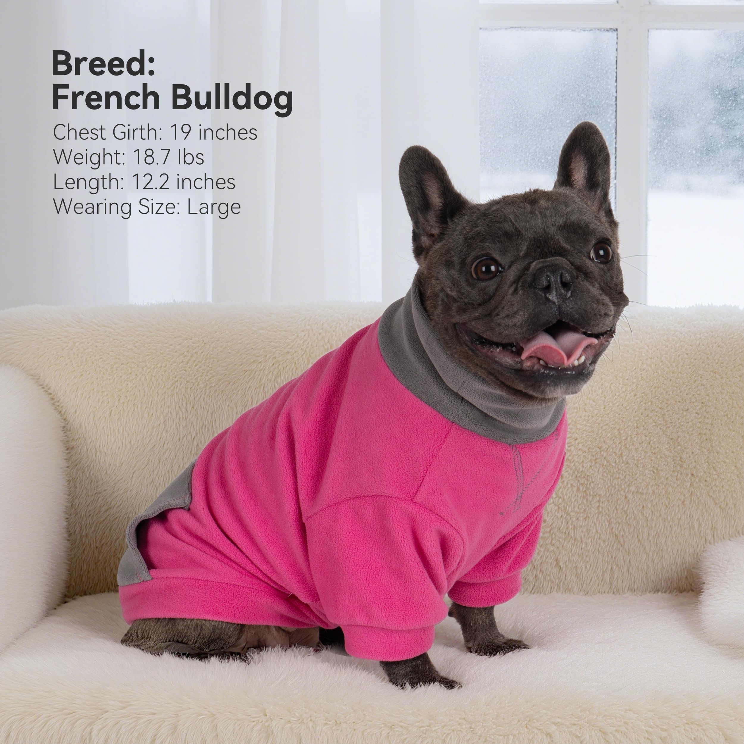 Cyeollo-base-layer-dog-sweater-under-jacket adds extra warmth during chilly adventures.