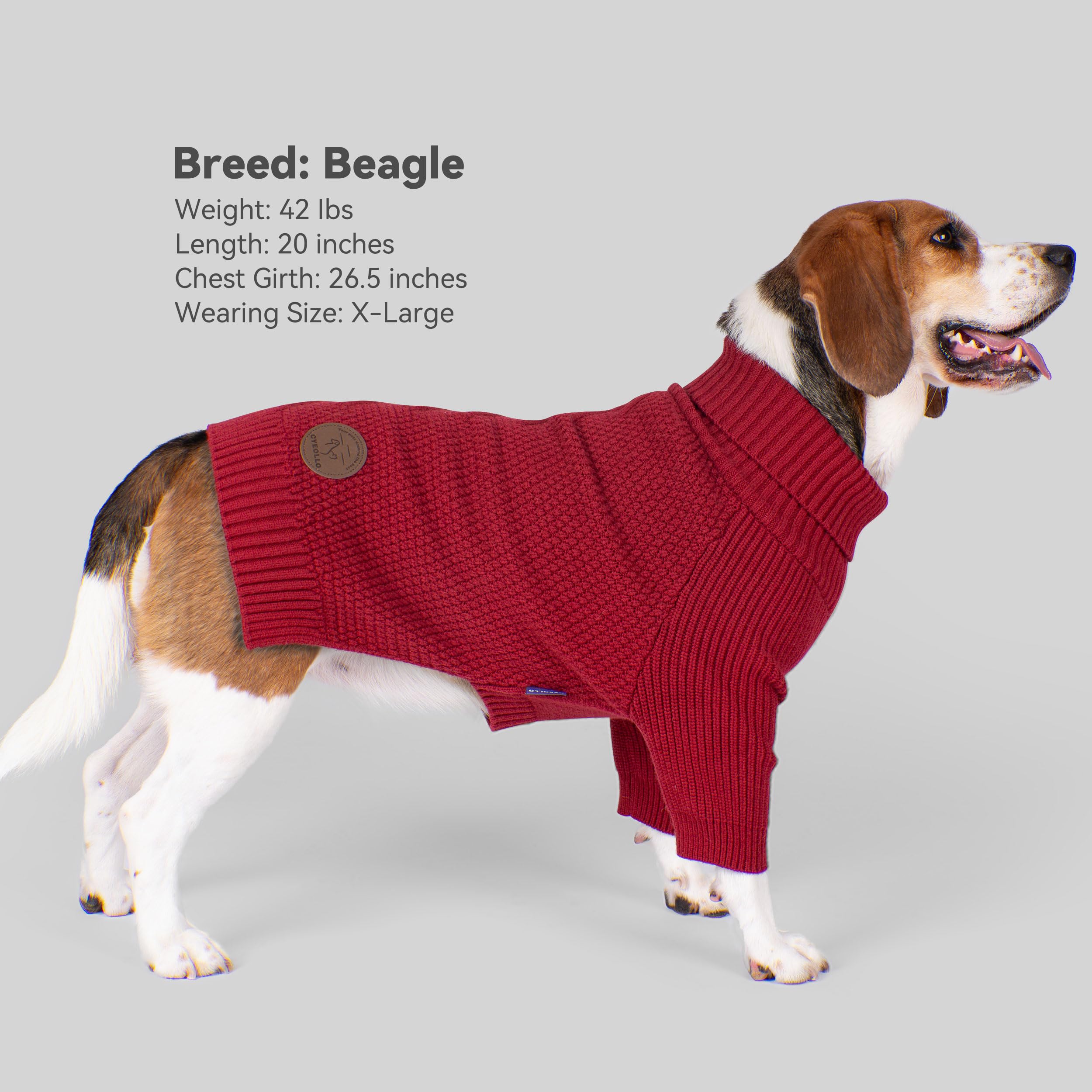 cyeollo burgundy knit for festive holiday styling