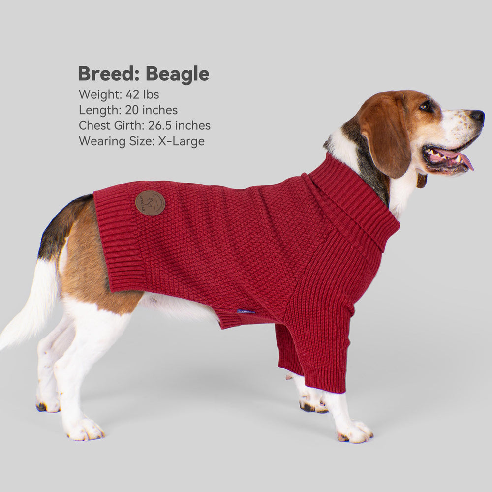 cyeollo burgundy knit for festive holiday styling