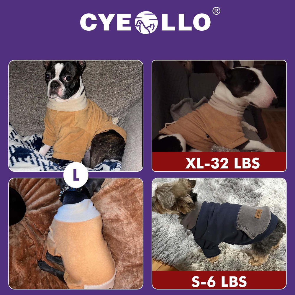 Cyeollo-daily-wear-dog-clothes-indoor-outdoor suited for everyday comfort and transitions.