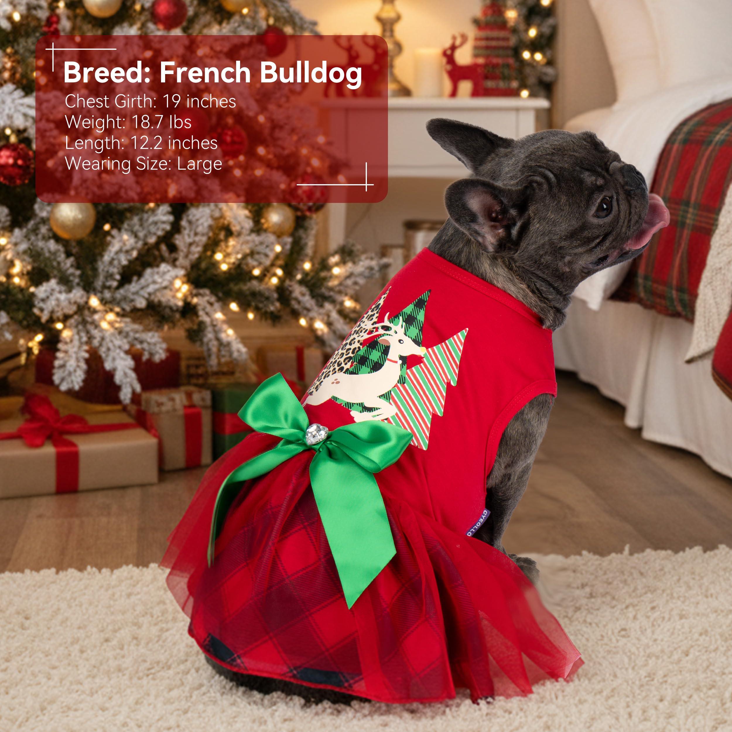 Cyeollo dog Christmas dress red XL back view highlights easy wear.