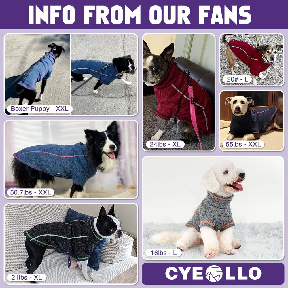 Cyeollo front-zip dog coat enables easy on/off during outdoor trips.