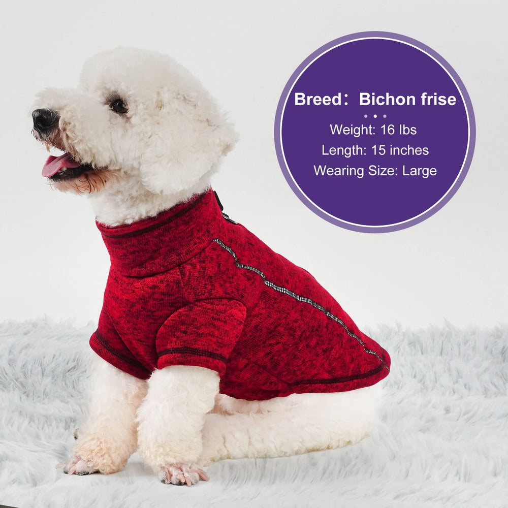 Cyeollo dog coat with sturdy D-ring and zipper attachment for confident walks.