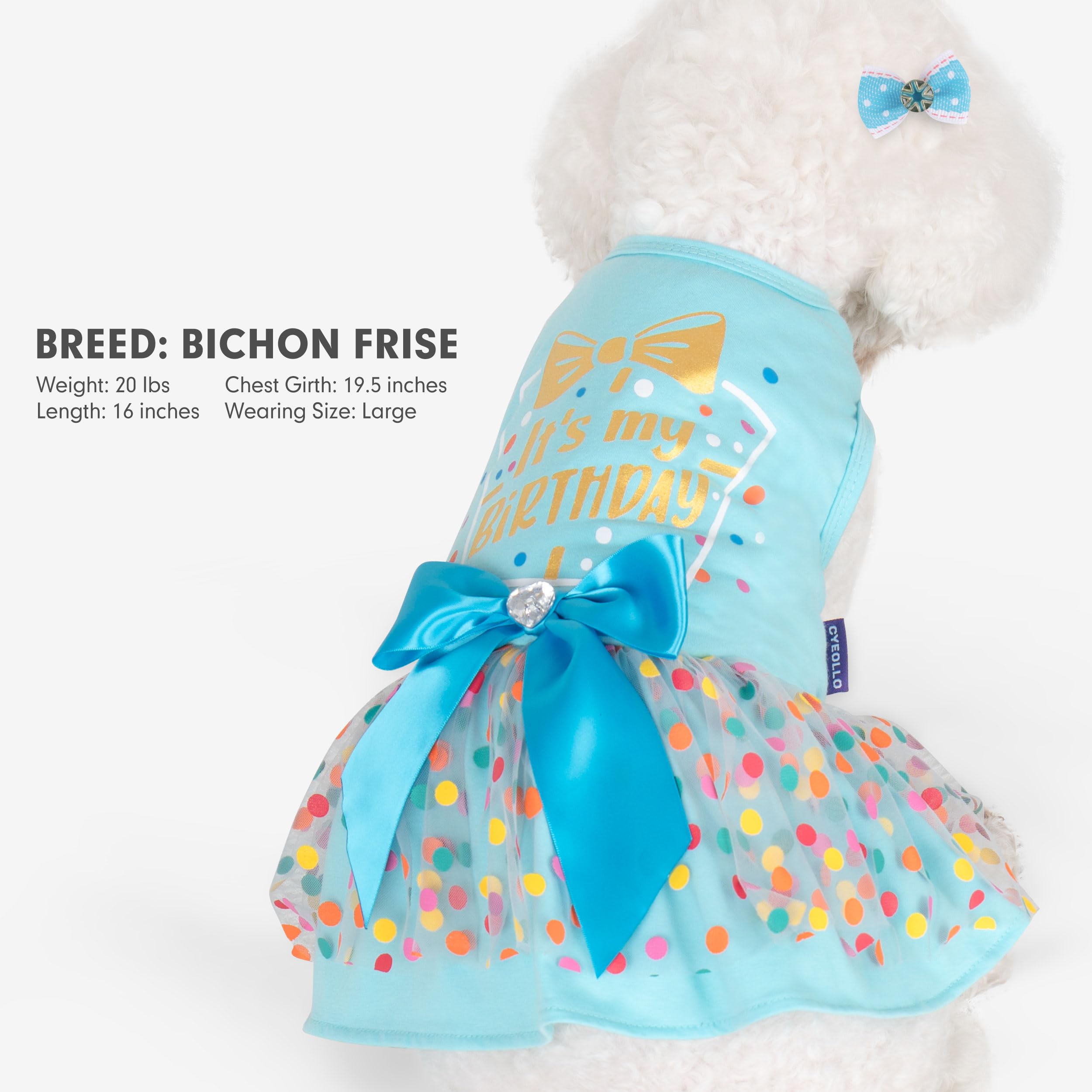 cyeollo blue-xxl dress provides comfortable coverage for larger dogs