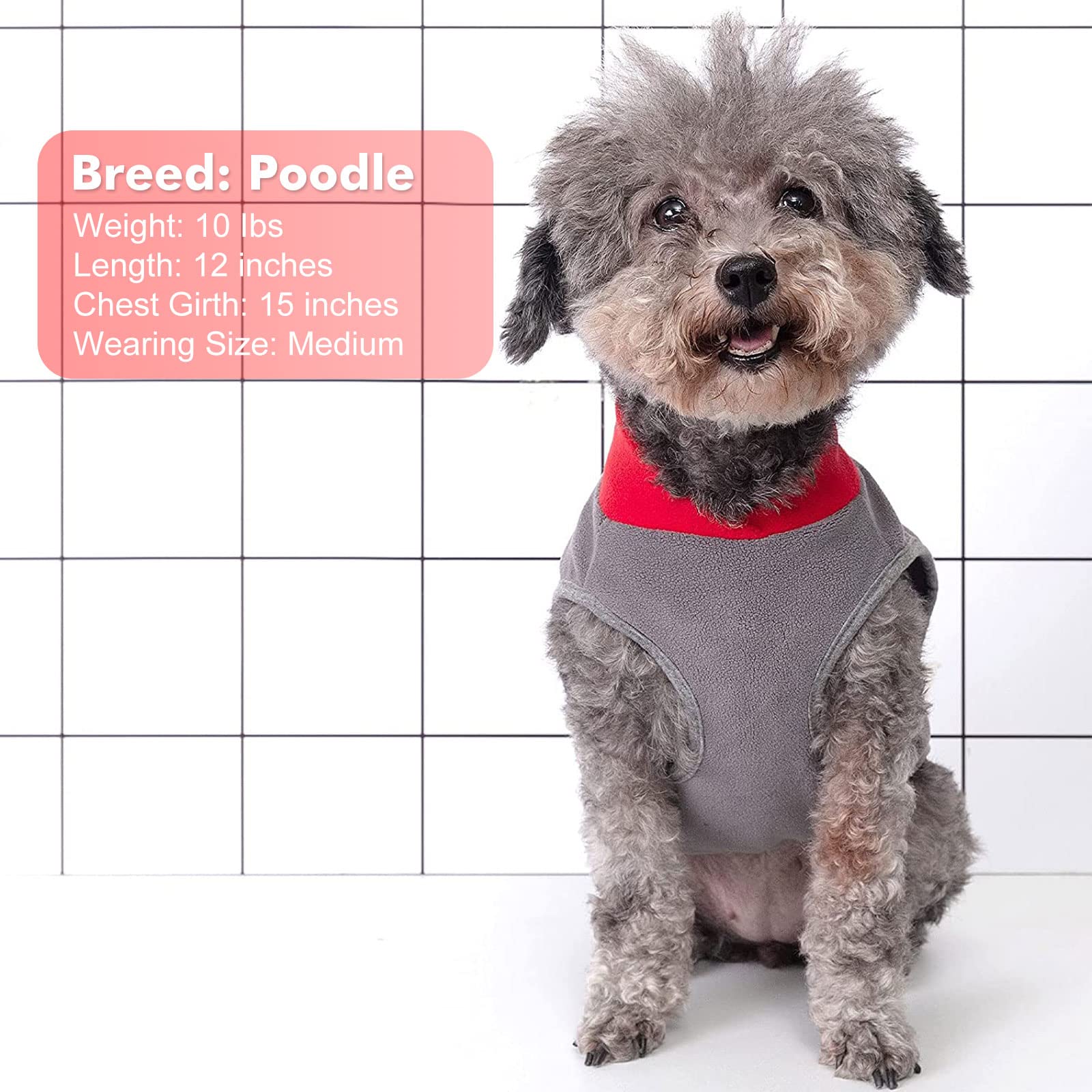 cyeollo dog fleece sweater outdoor-ready for chilly evenings