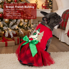 cyeollo dog outfit red holiday dress, perfect for Christmas celebrations and family photos.