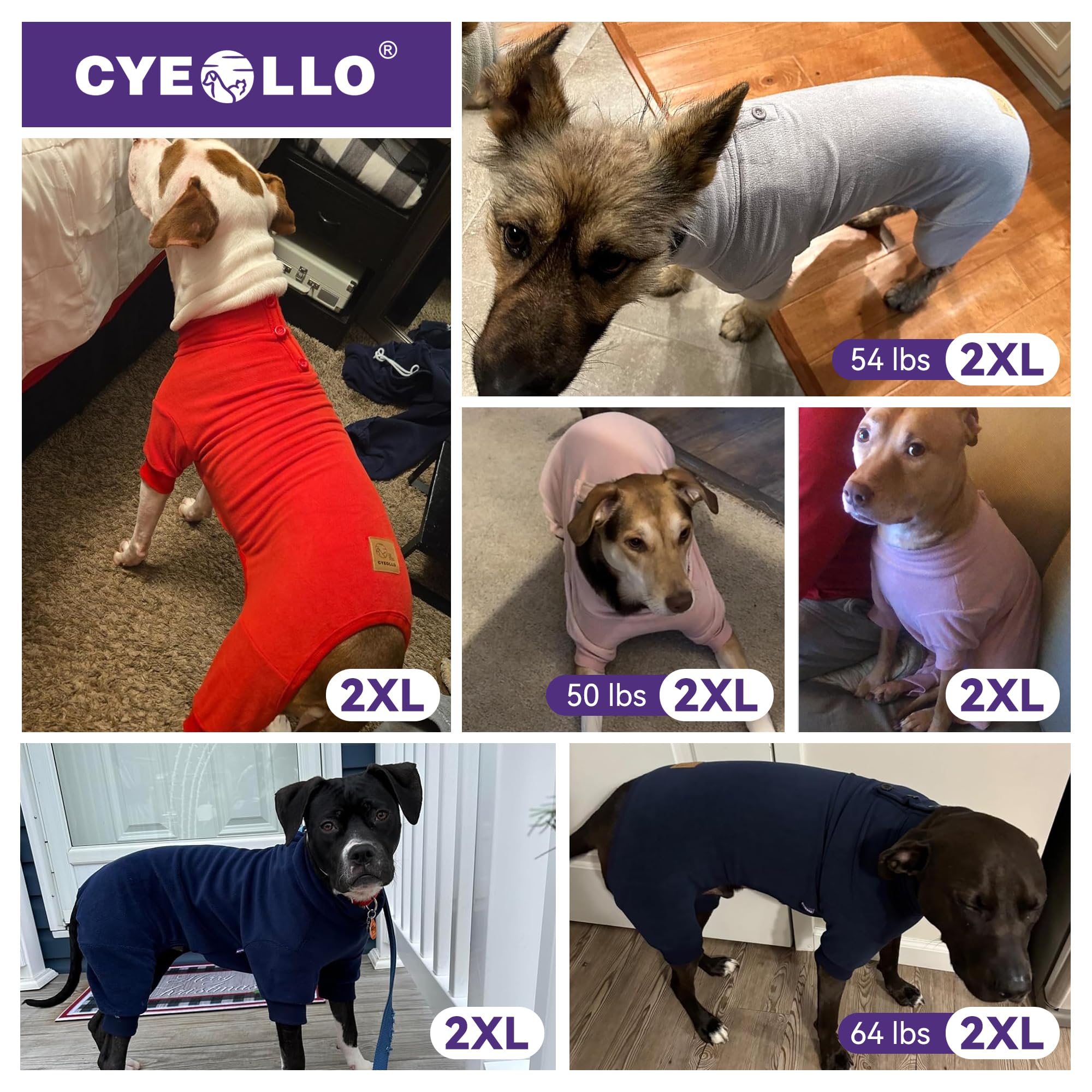 cyeollo beige dog wearing the pjs demonstrates everyday indoor comfort