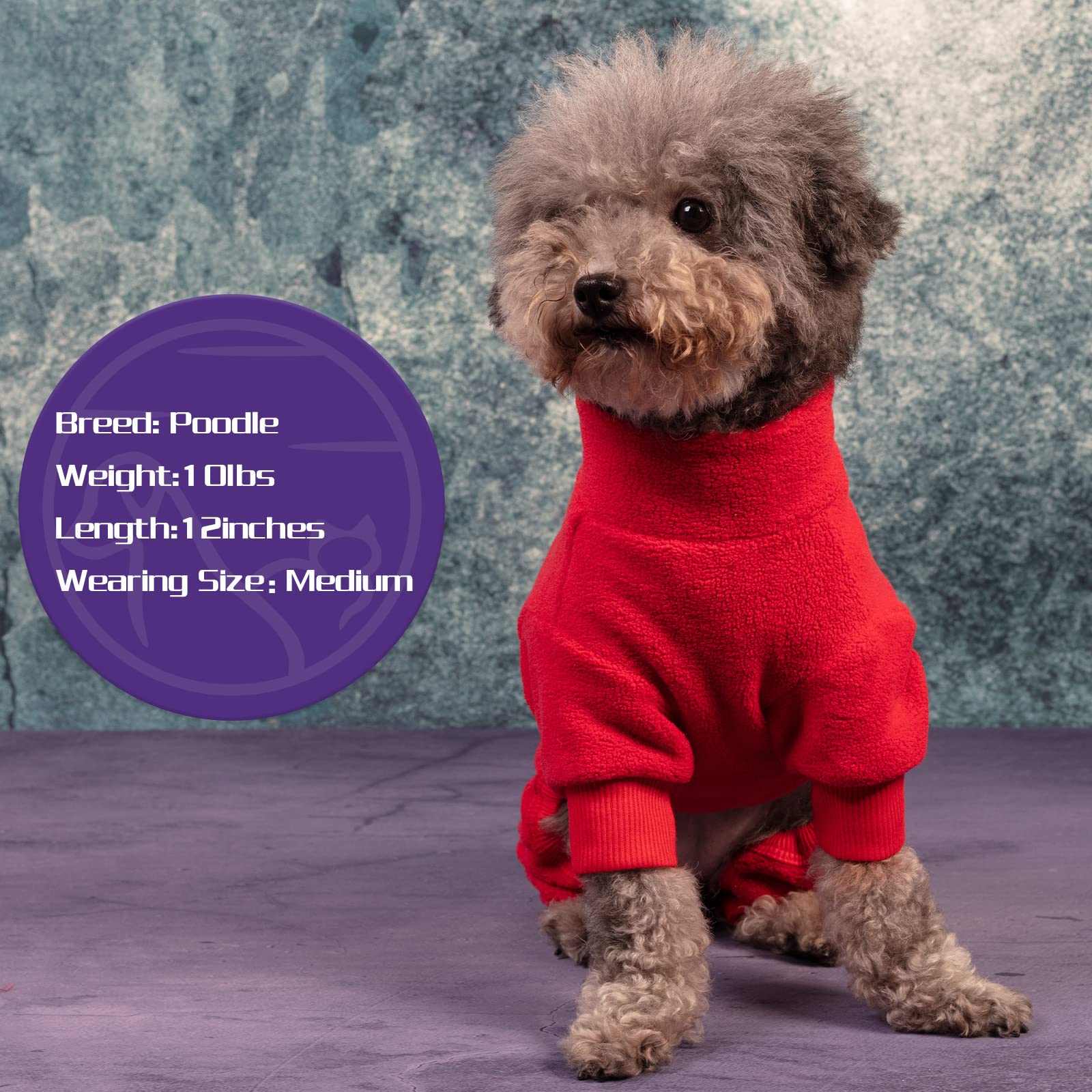 Cyeollo four-leg design offering full coverage and cozy warmth