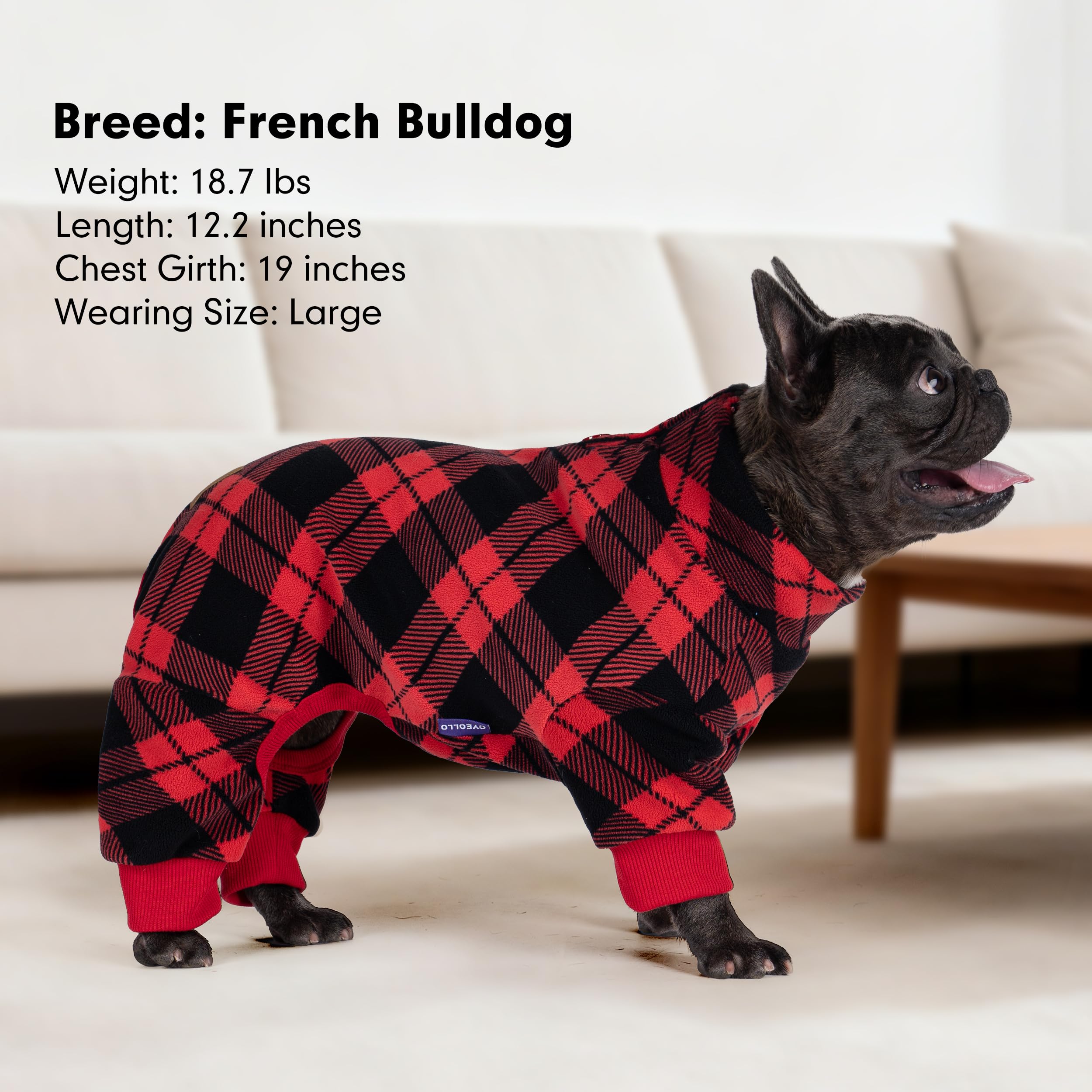 Cyeollo dog pajamas with high collar providing extra warmth during cold outings