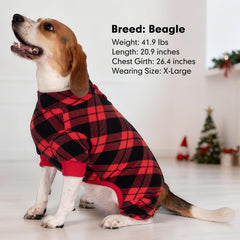 Cyeollo dog pajamas shown as a versatile outfit for indoor and outdoor wear