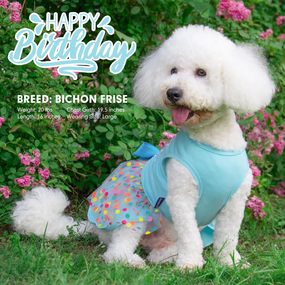 cyeollo photo-ready dog dress perfect for memorable moments