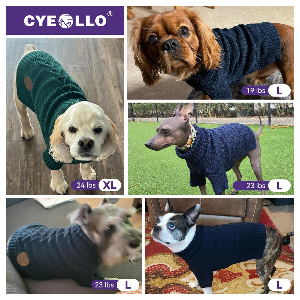 cyeollo dog sweater leather-label-detail adds chic premium look