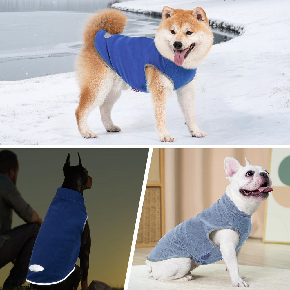 cyeollo dog sweater pack-two-colors demonstrates versatile styling options