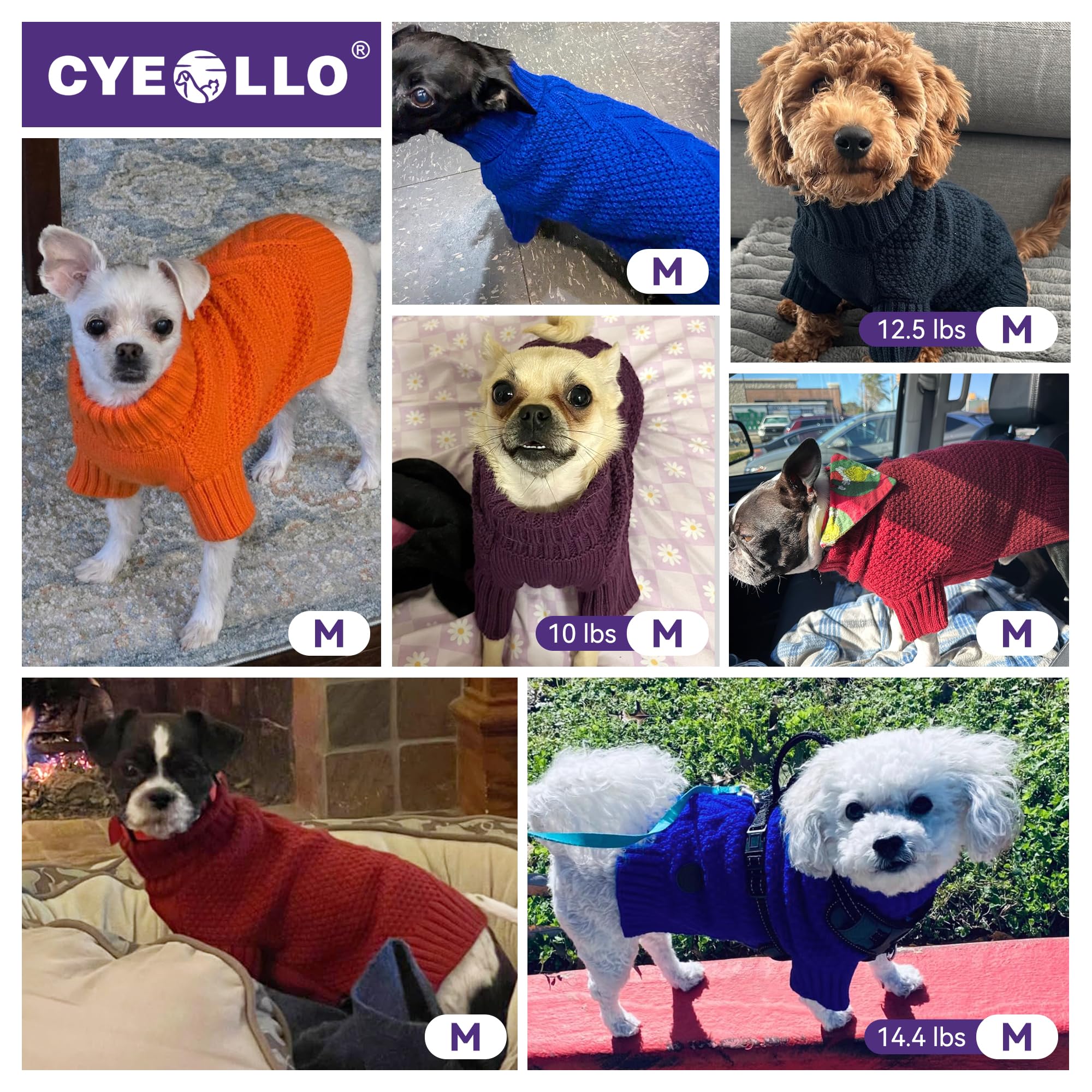 cyeollo size chart helps choose the right fit for different breeds
