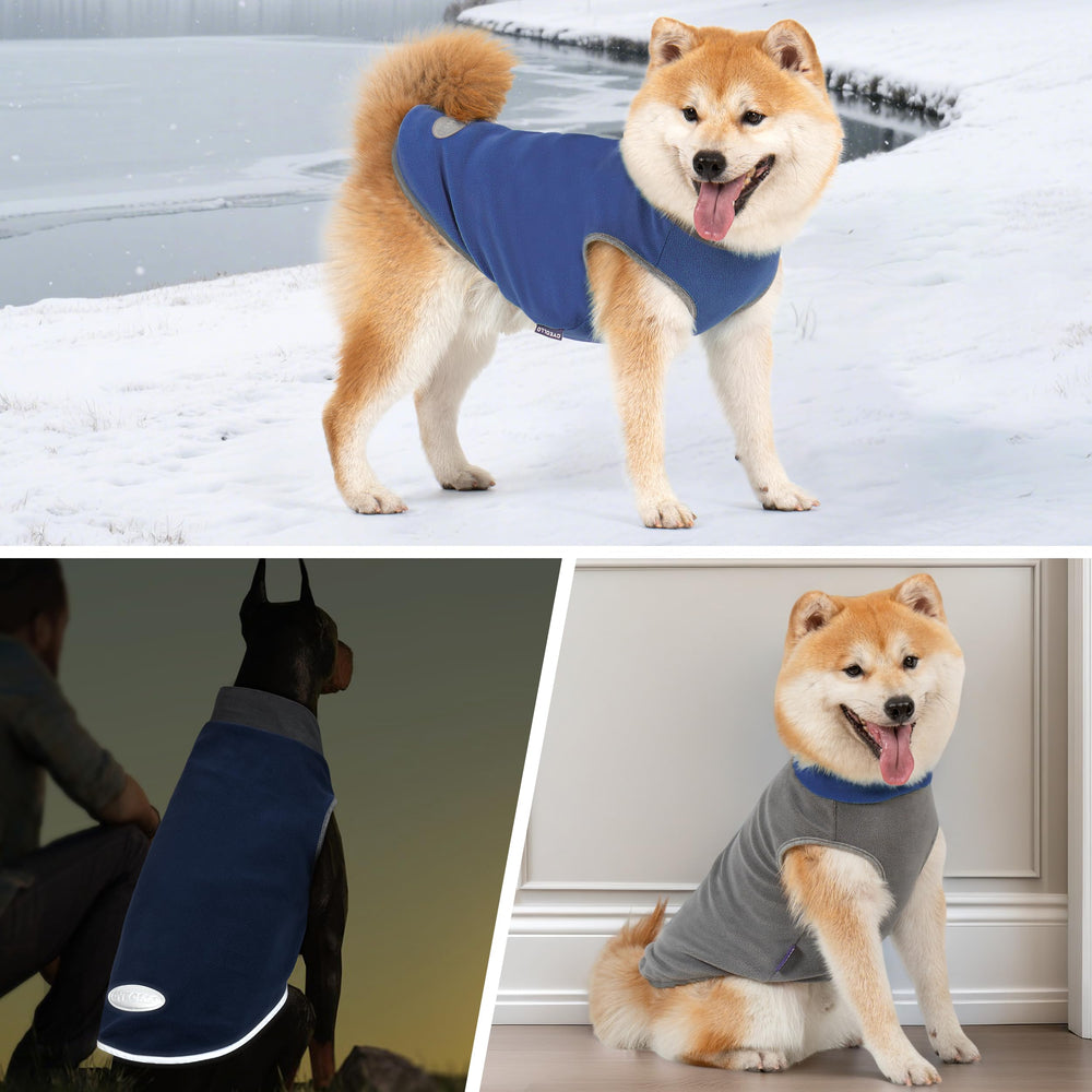 Cyeollo dog sweater worn under a coat for extra warmth during cold days.