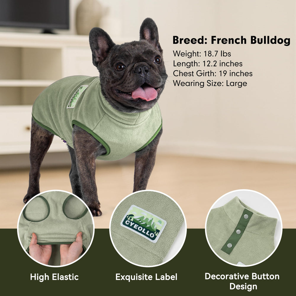 Cyeollo dog sweater worn on outdoor walk highlights warmth during chilly days.