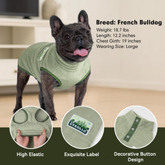 Cyeollo dog sweater worn on outdoor walk highlights warmth during chilly days.