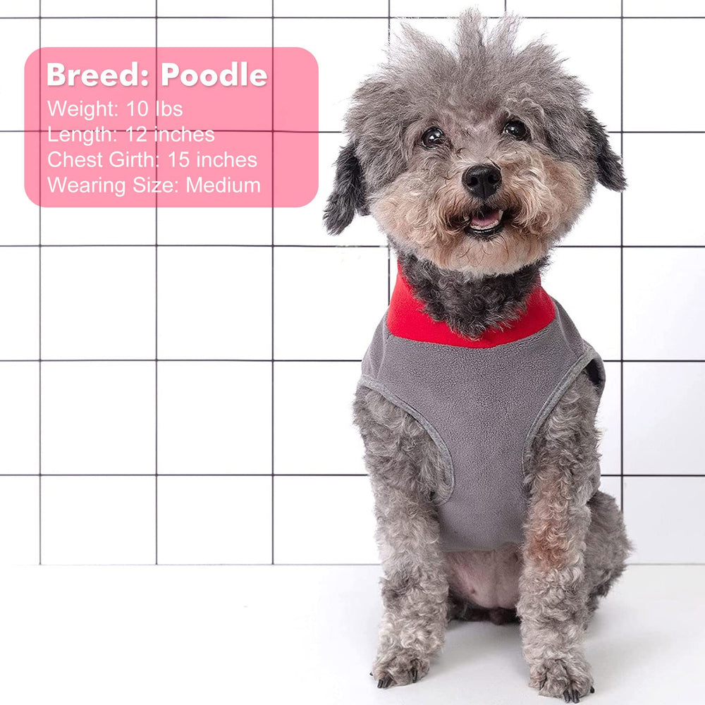 Cyeollo dog sweater during walks combines comfort and style.