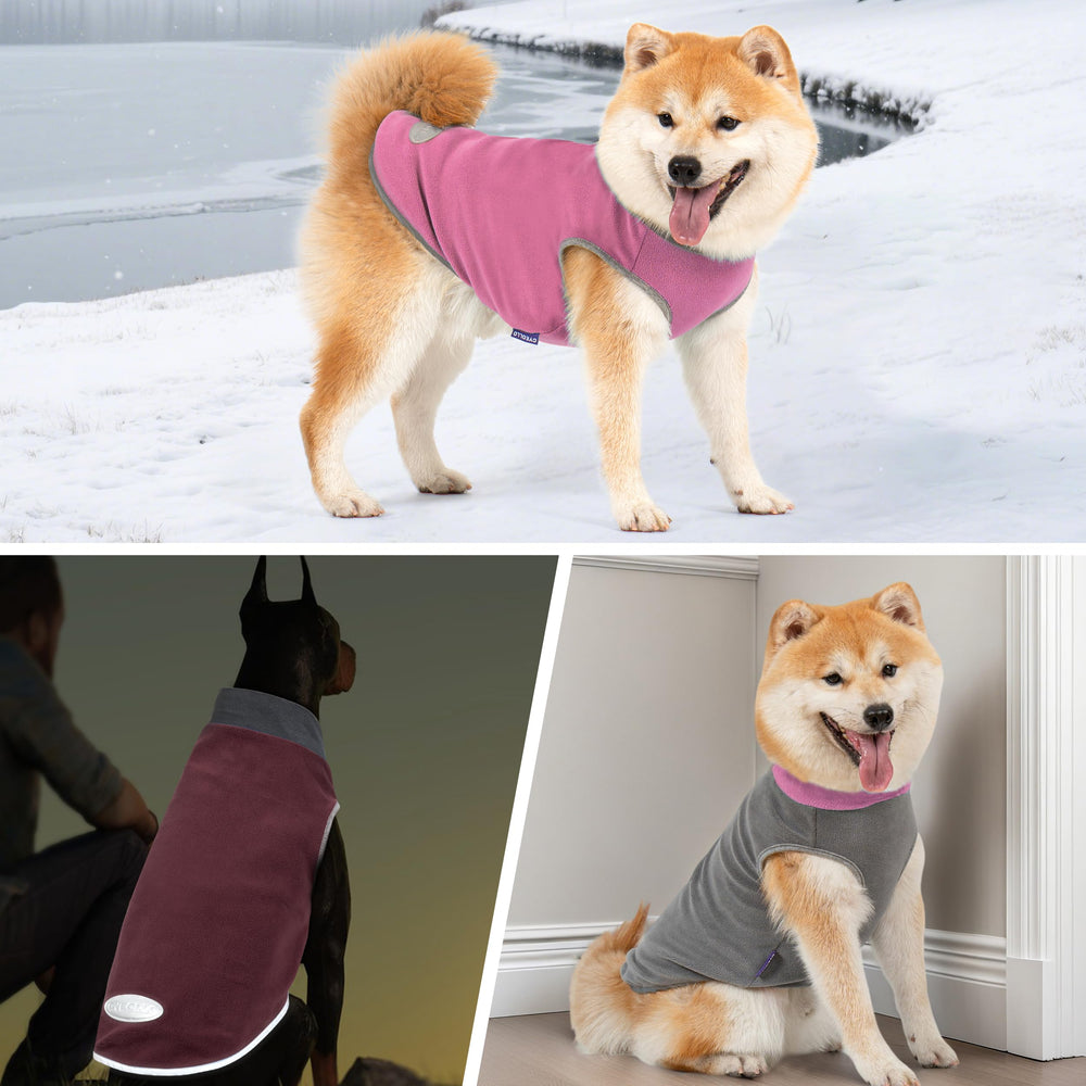 cyeollo dog sweater worn indoors or outdoors as underlayer.
