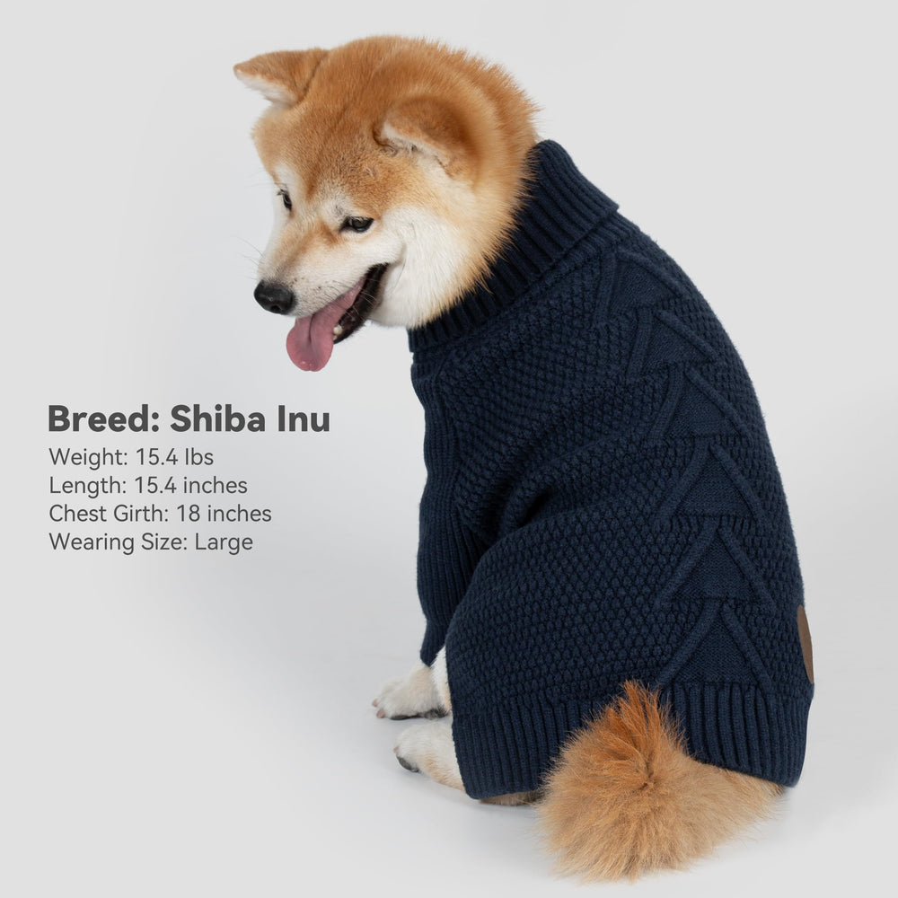 Cyeollo on-dog styling with holiday ambiance shows versatile wear for festive occasions.