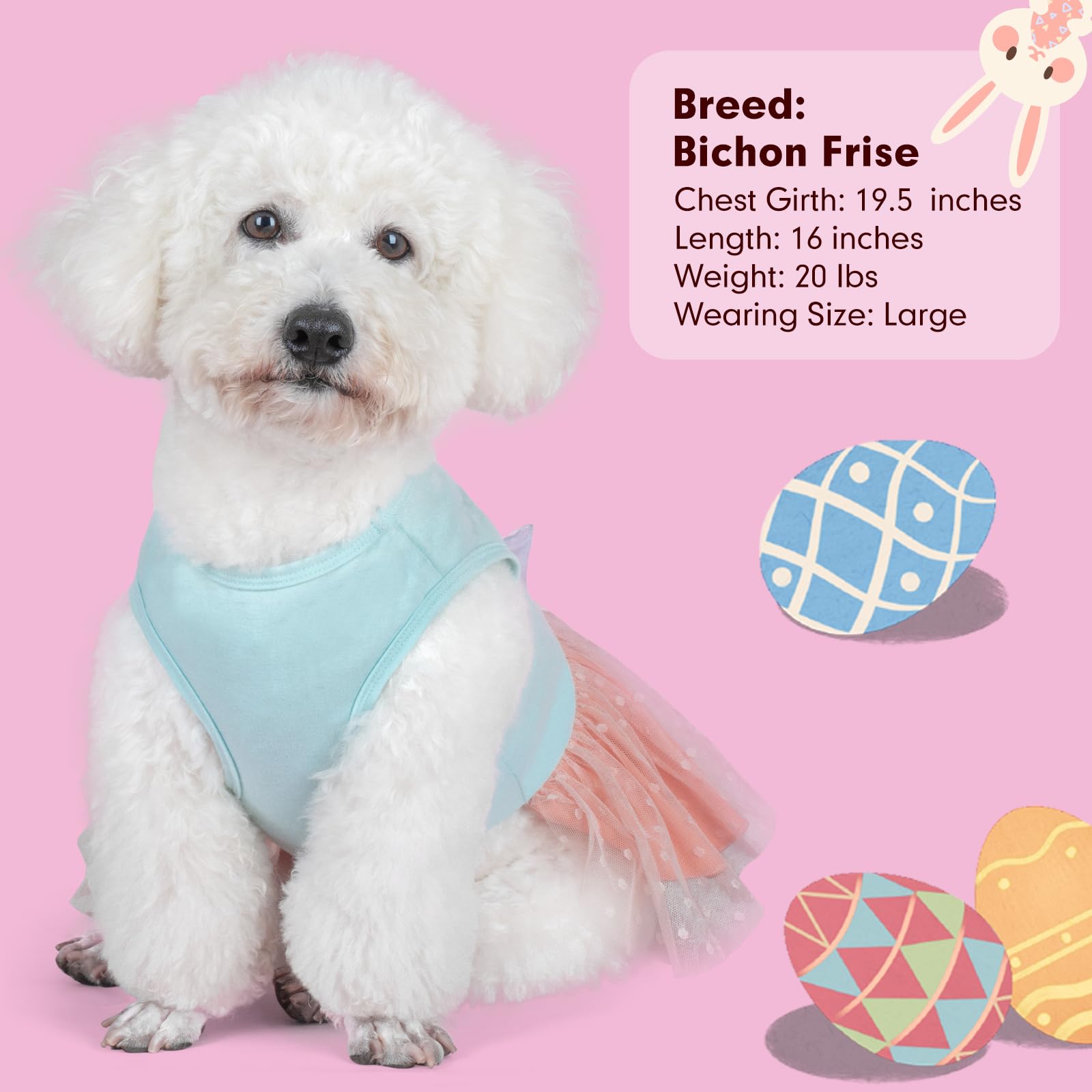 cyeollo dress easter-photoshoot image suited for cute pet photos