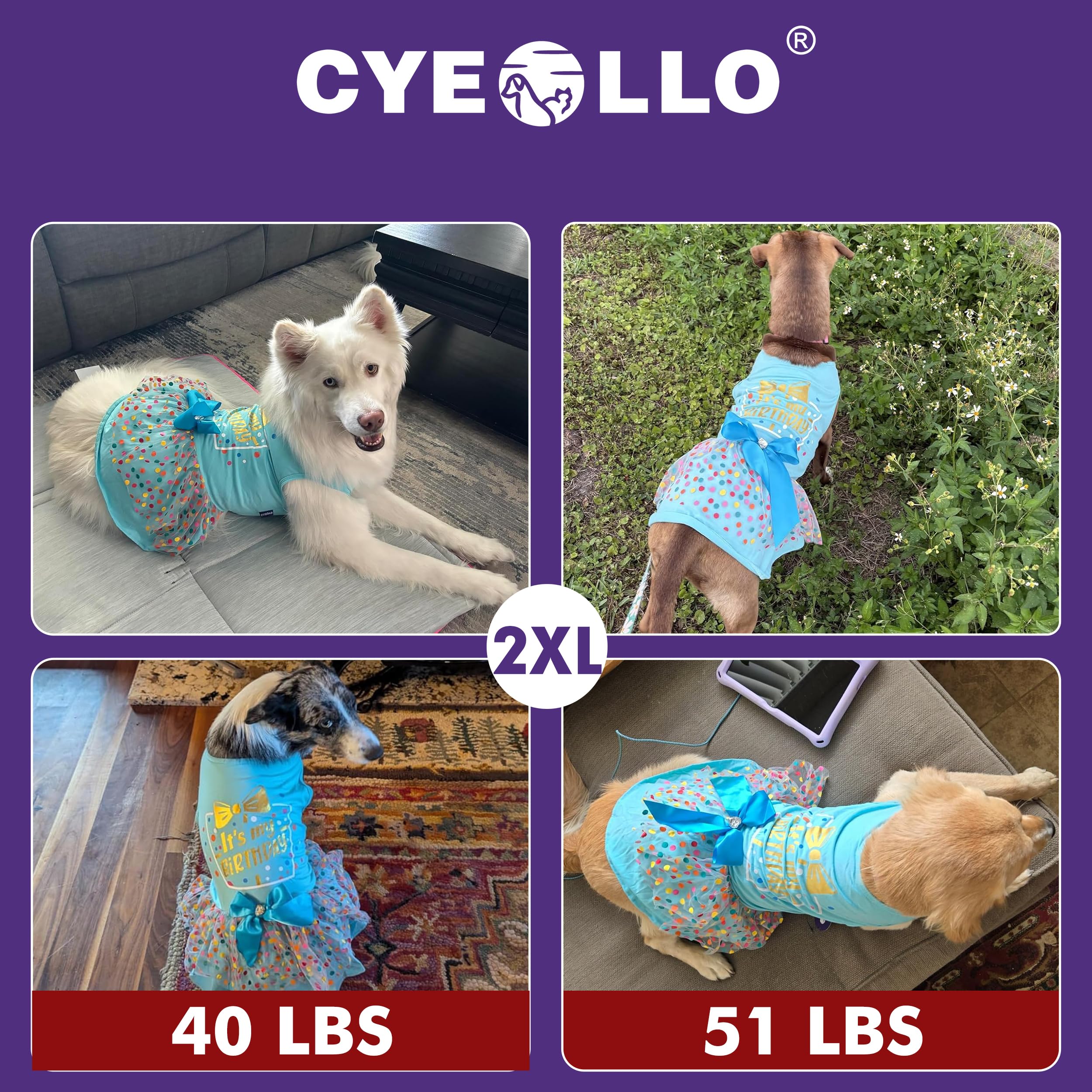 cyeollo elastic belly-band ensures a flexible, comfortable fit