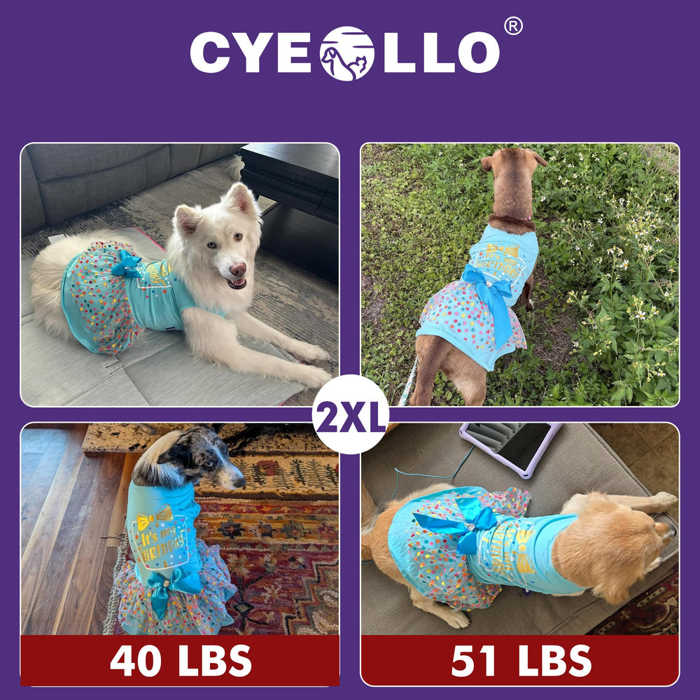 cyeollo elastic belly-band ensures a flexible, comfortable fit