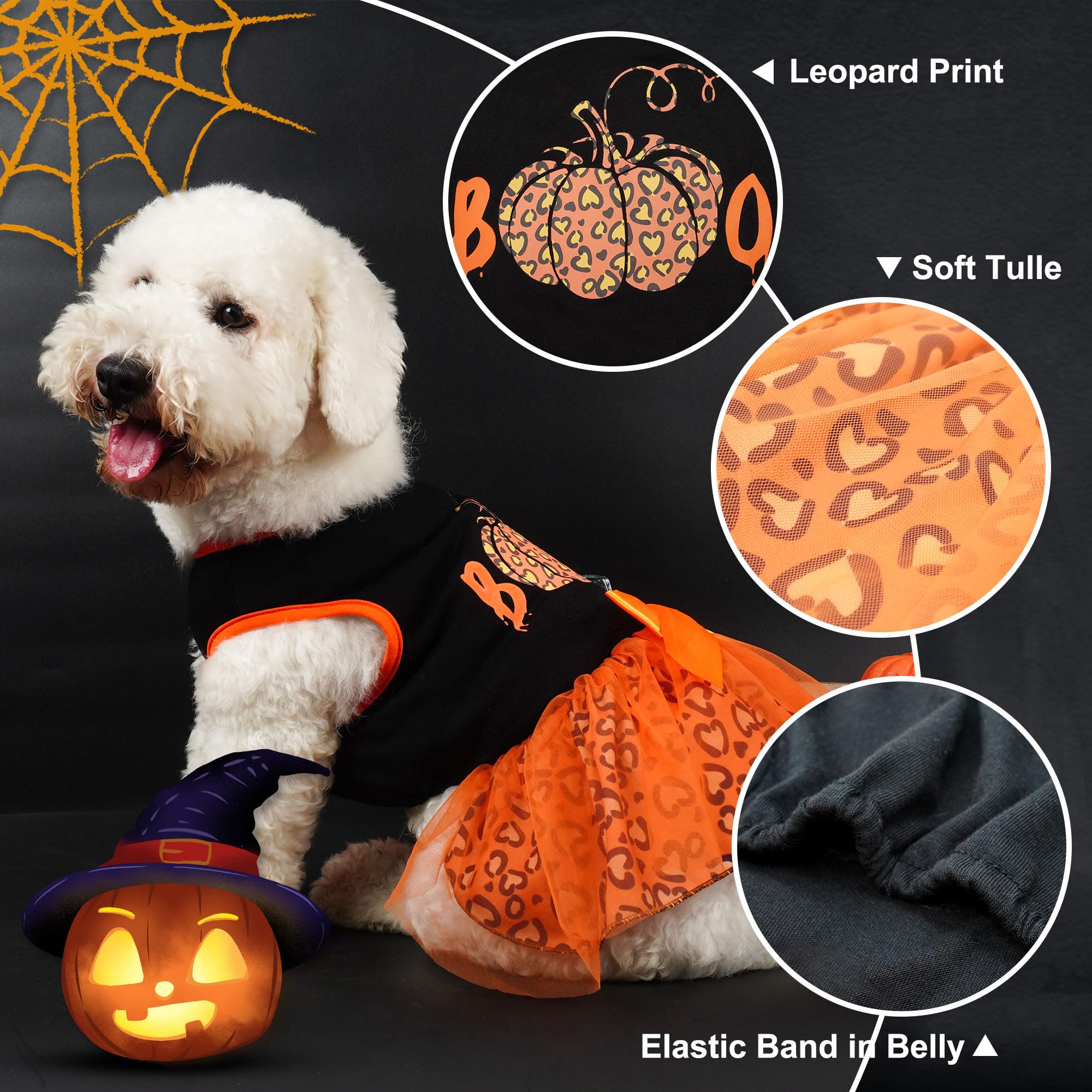 Pumpkin-tulle accent on Cyeollo dog dress creates playful holiday look.
