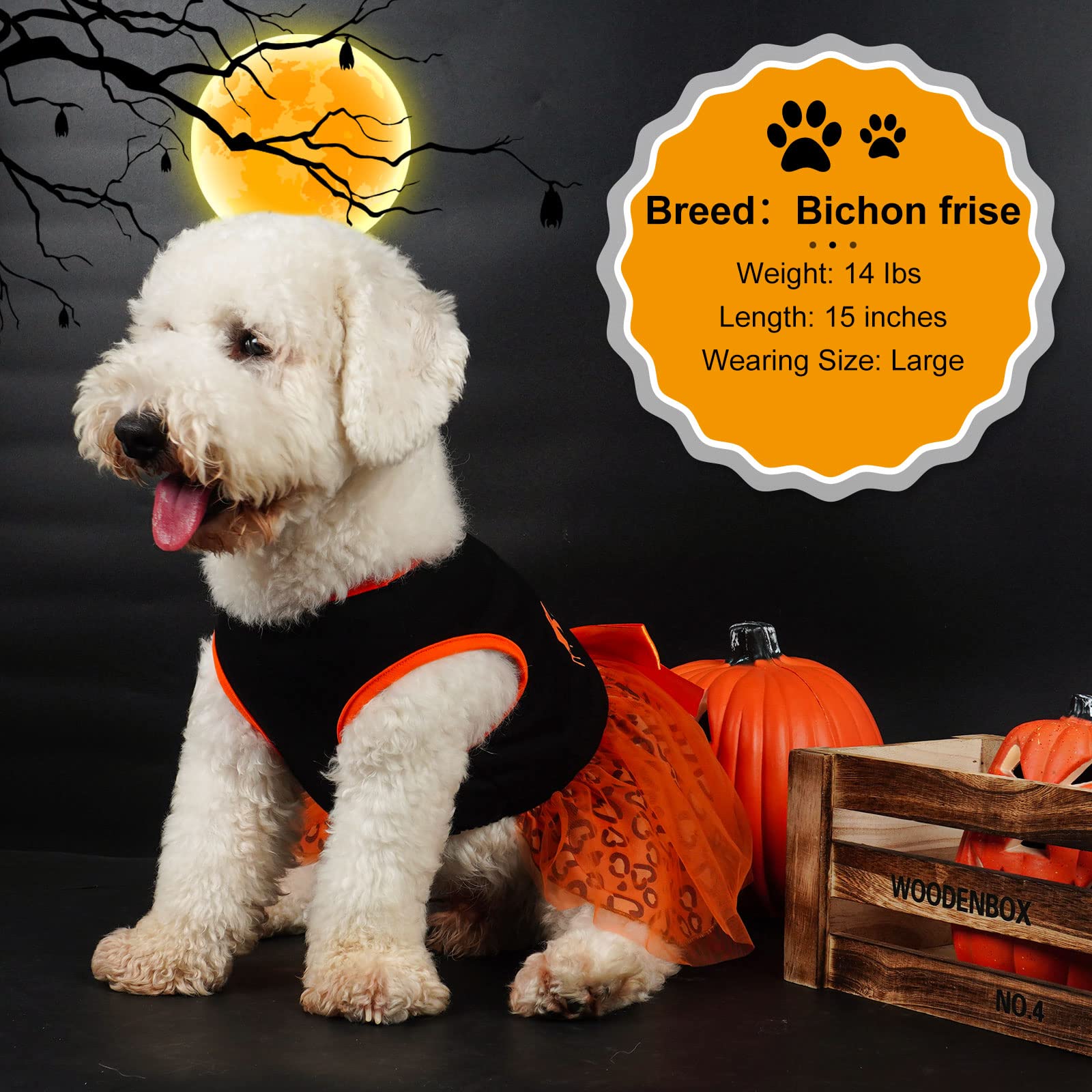 Cyeollo size-guide chest-girth helps find a better fit for small dogs.