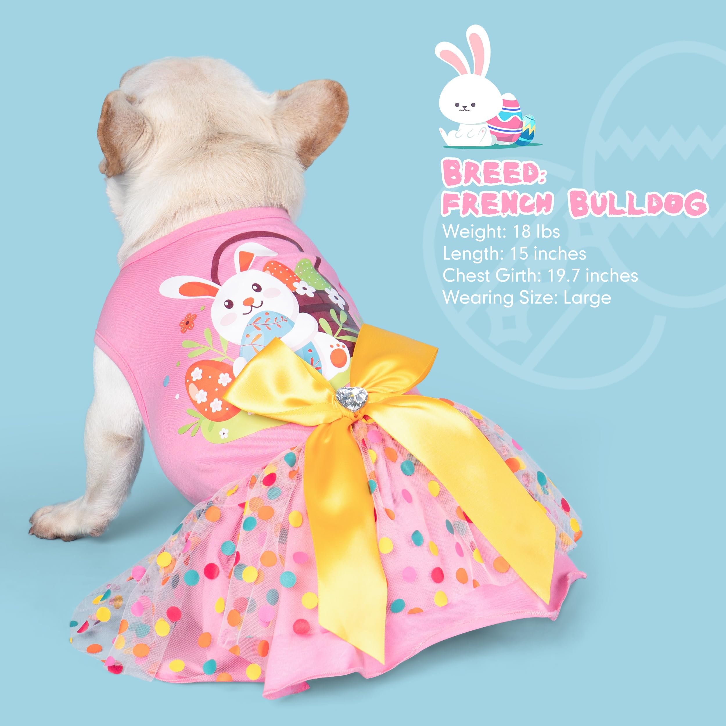 cyeollo dog dress pullover design for easy on-off on small pets