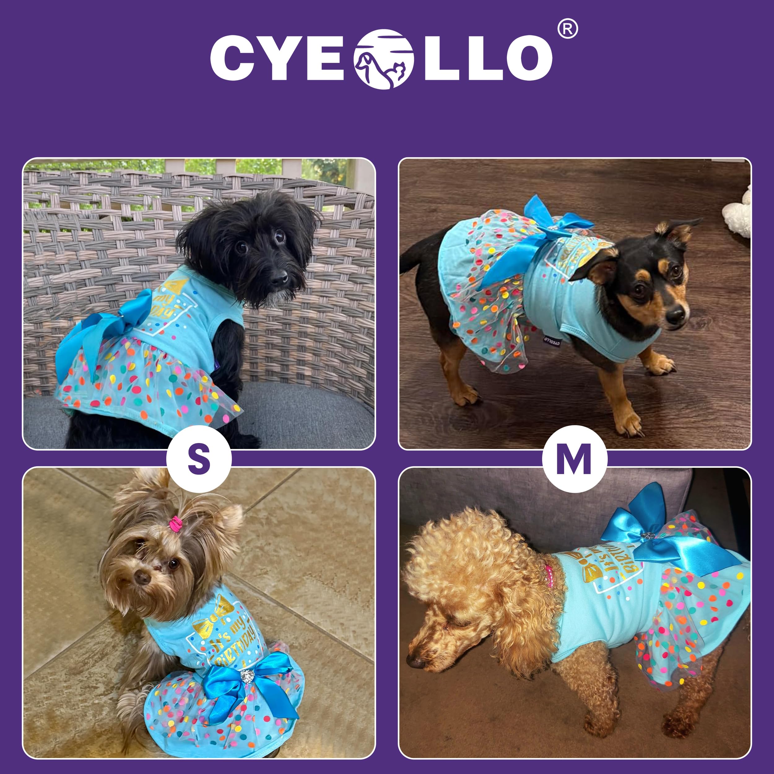 cyeollo elastic belly band ensures comfortable fit and movement
