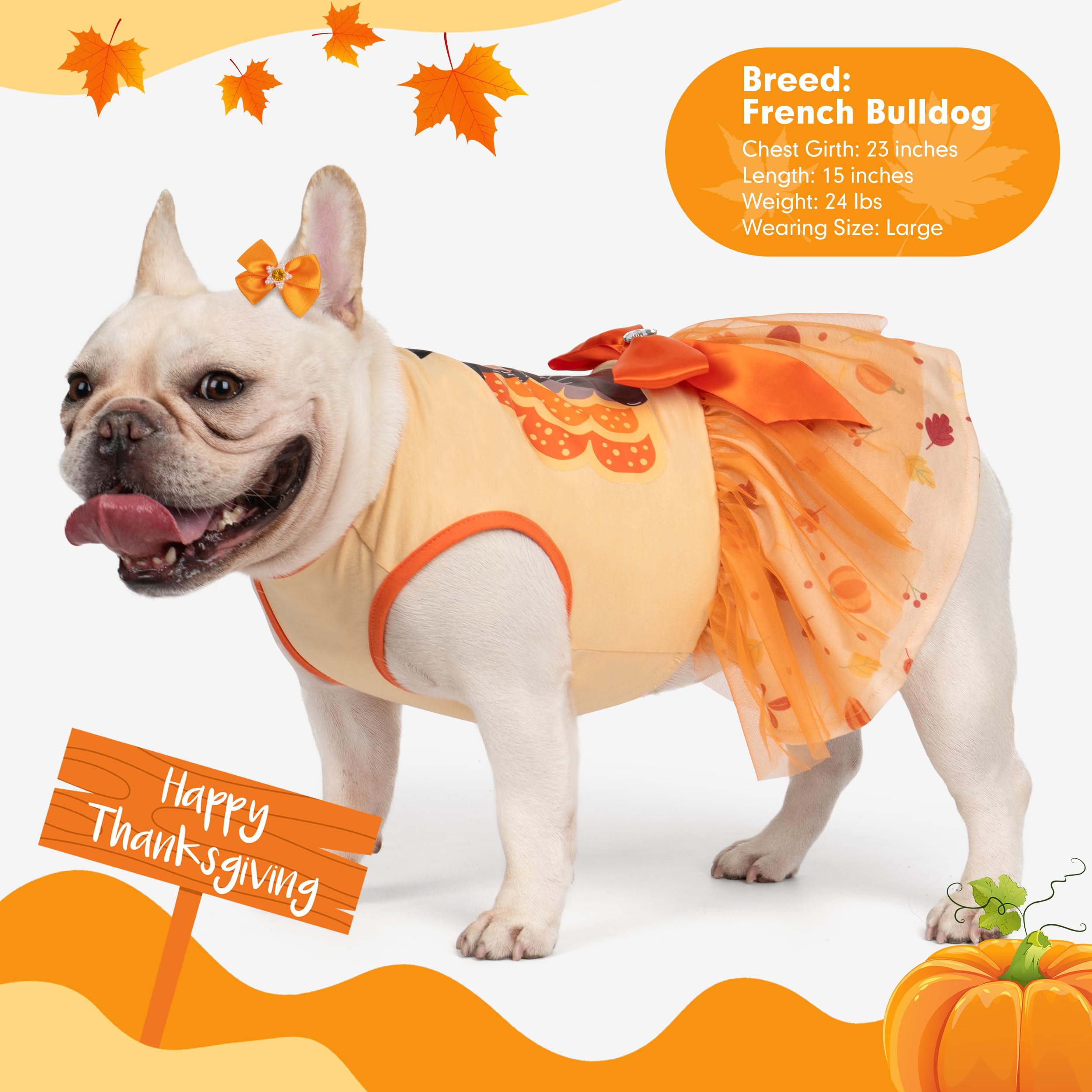 cyeollo fall themed dog costume suitable for parties and photos