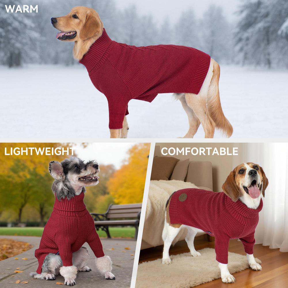 cyeollo fashion knit-dog-sweater leather label adds stylish holiday vibes