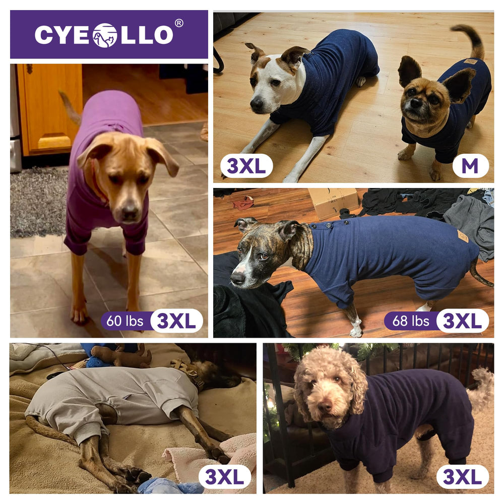 Cyeollo pajamas worn by dog in action, suitable for indoor lounging.