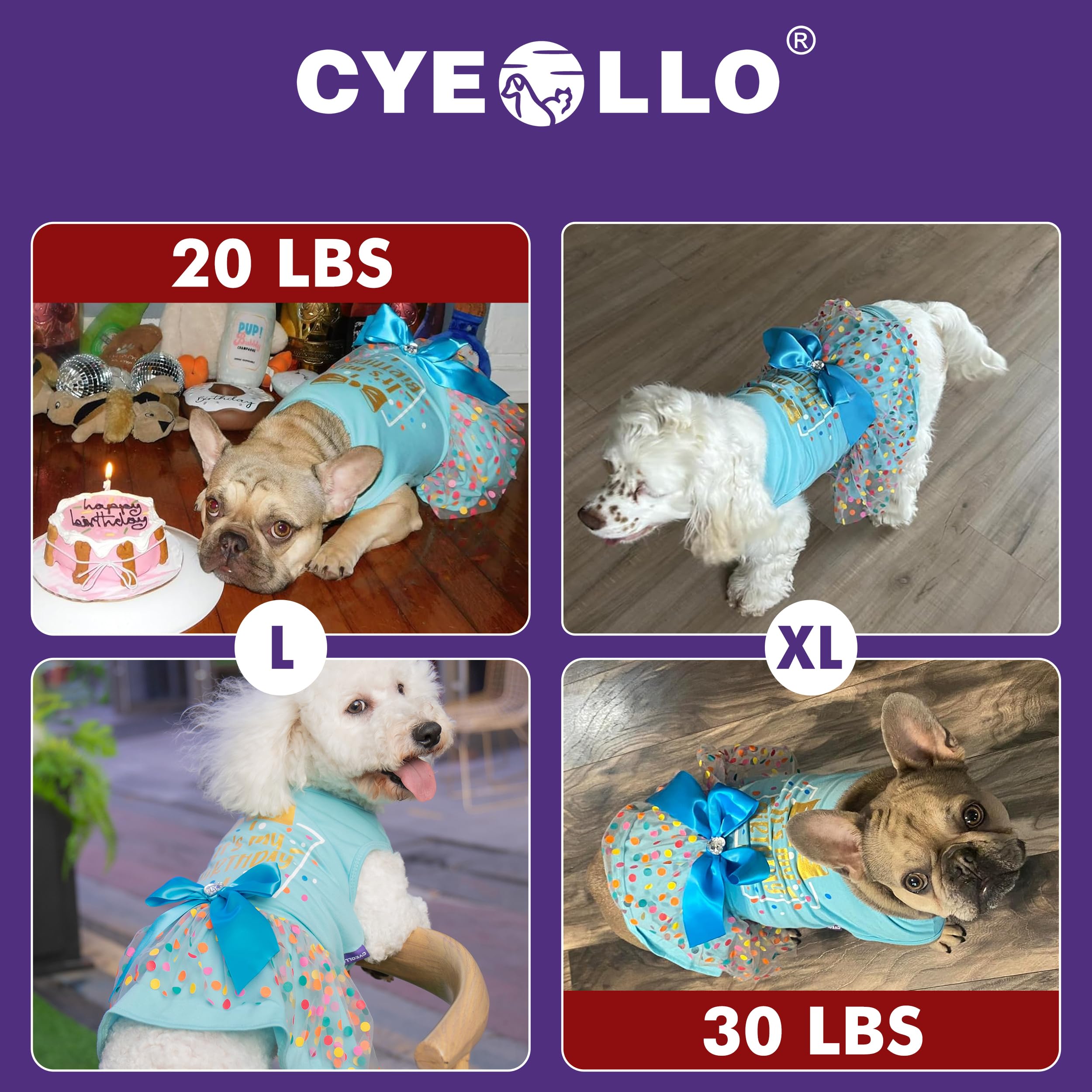 Cyeollo glitter-dotted dog dress blue XL skirt close-up with bow