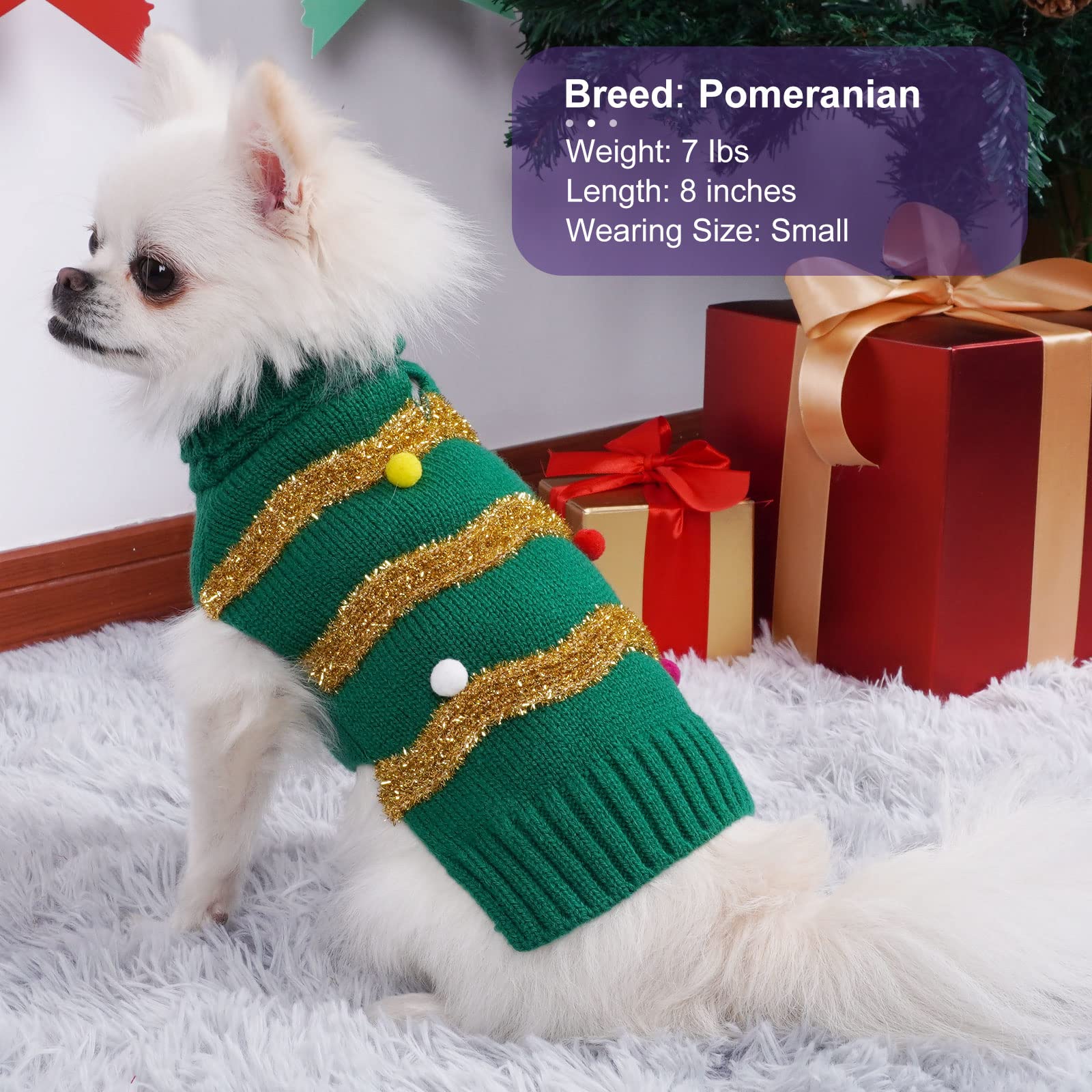 Cyeollo holiday photo session with dog in Christmas outfit