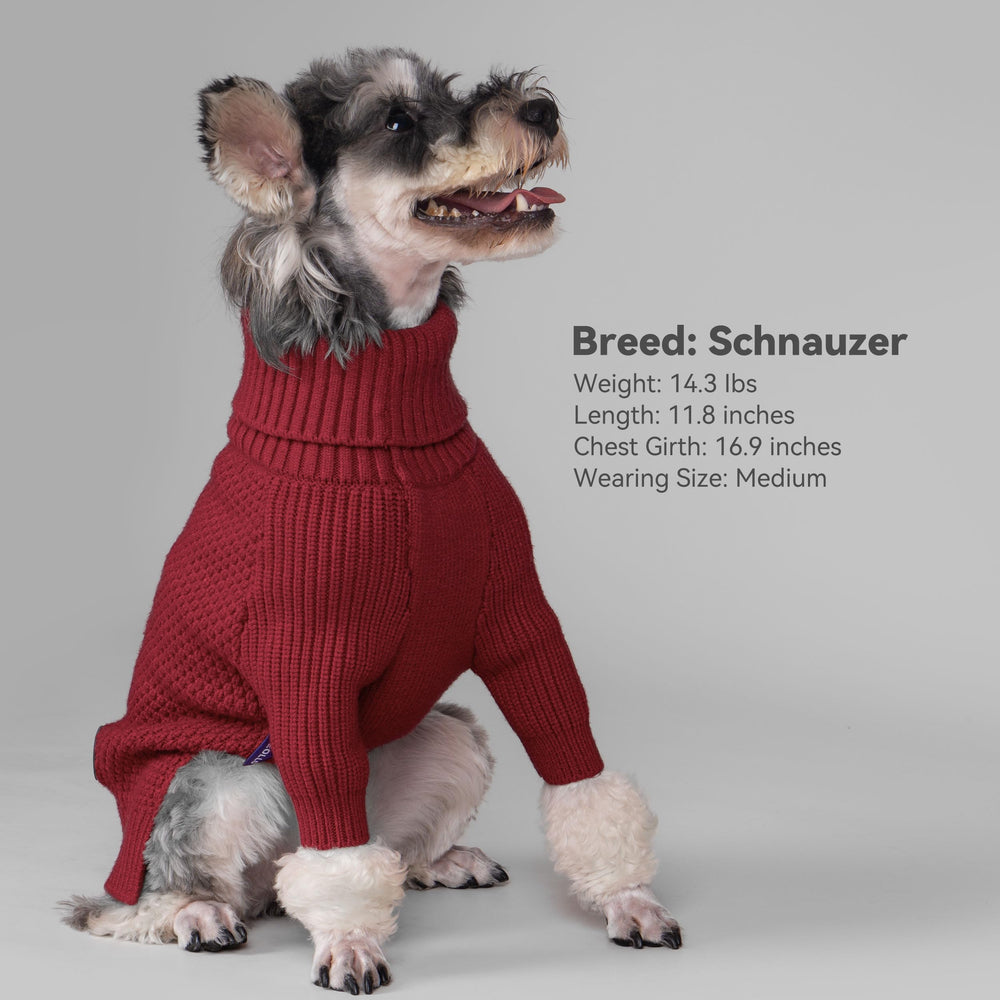 Cyeollo holiday-ready dog sweater ideal for Halloween, Christmas, and Thanksgiving looks.