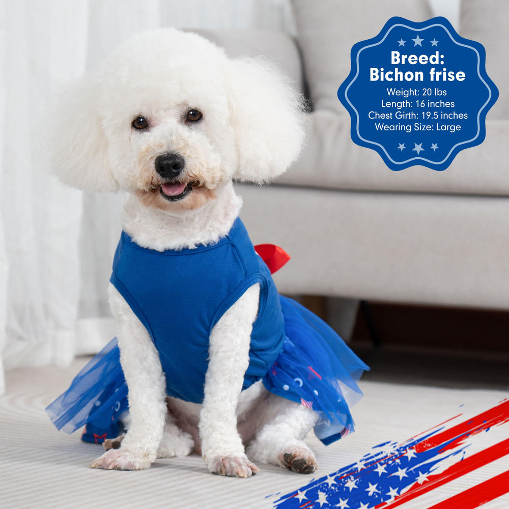 cyeollo blue star-pattern dress on dog highlights festive style for celebrations