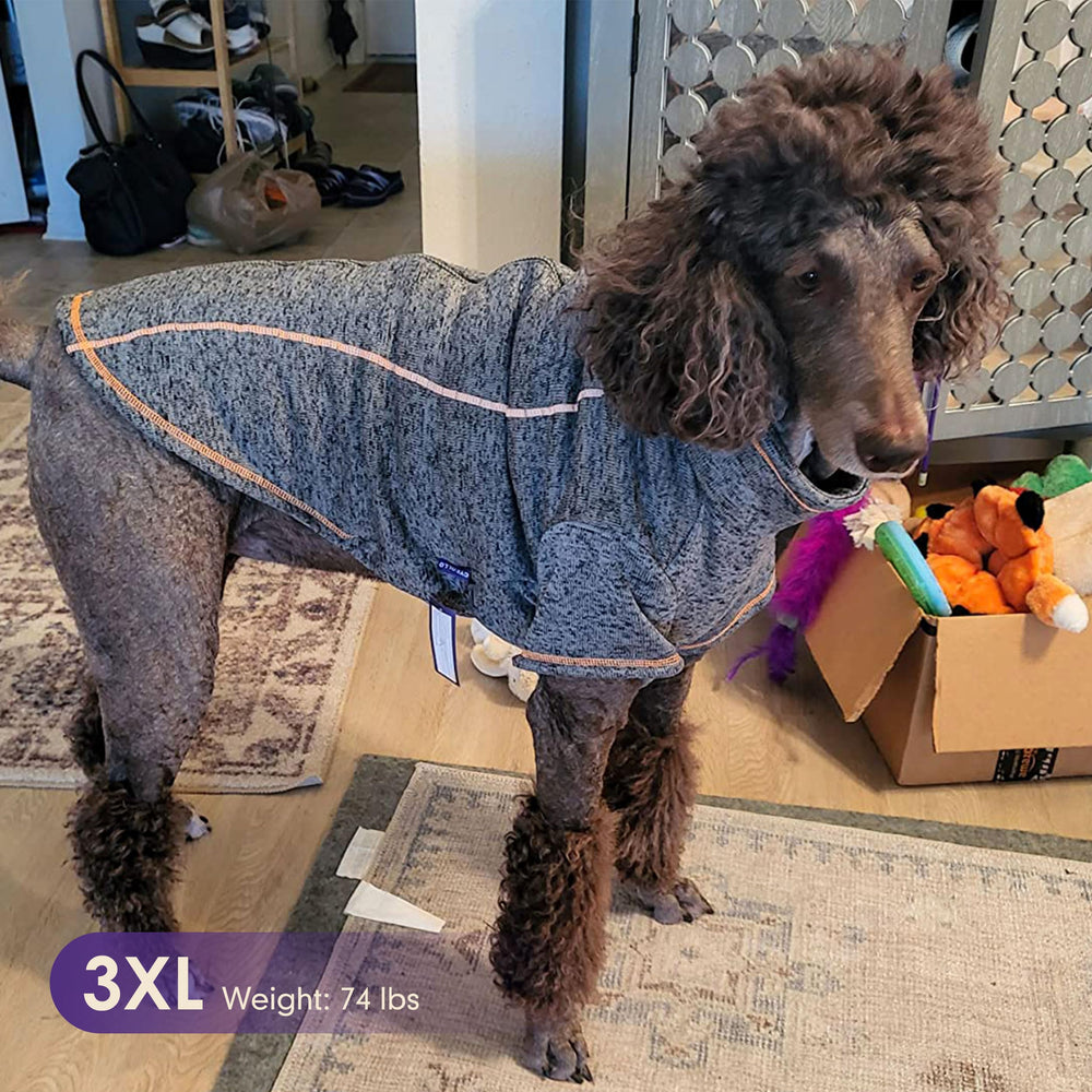 cyeollo large dog coat in grey XXX-Large fits big breeds