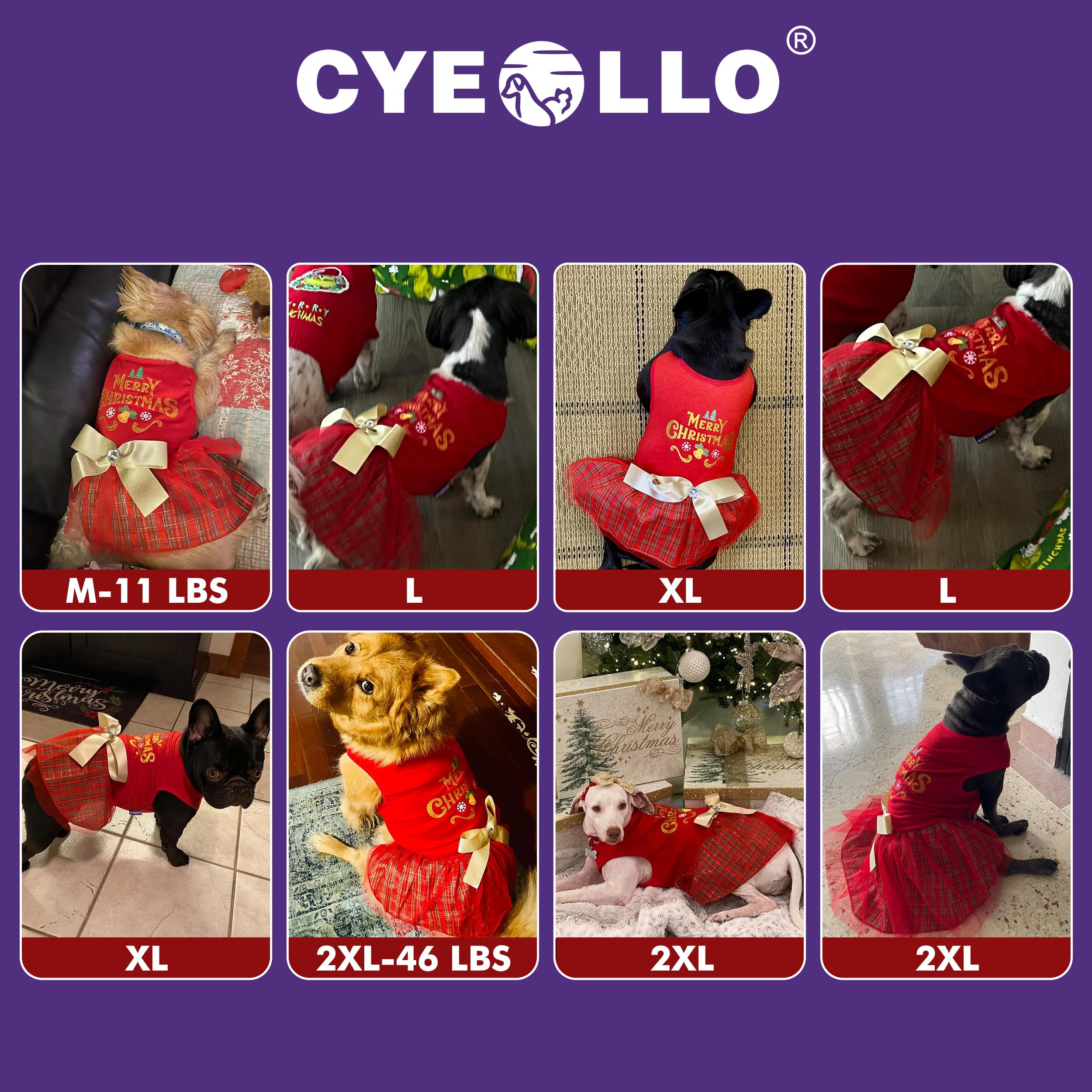 Cyeollo machine-washable dog dress on gentle cycle for easy care.