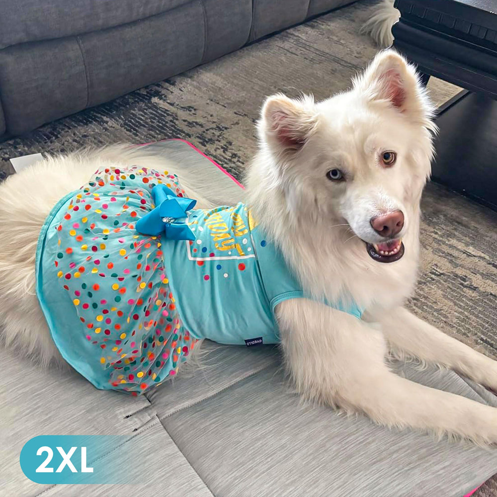 cyeollo machine-washable dog dress cleans up after celebrations