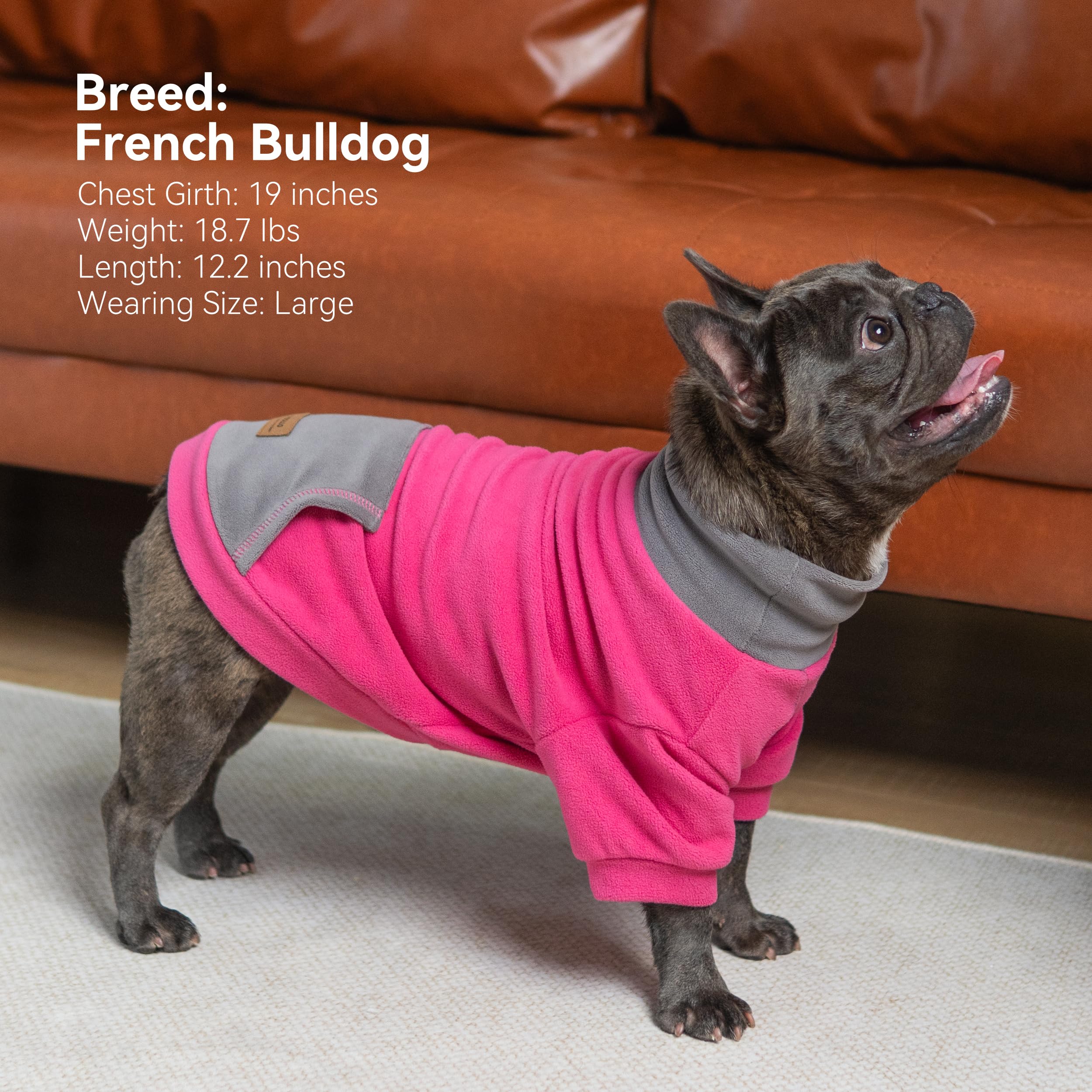 Cyeollo pink-fuchsia-colorway-dog-sweater stylish warmth for daily wear.