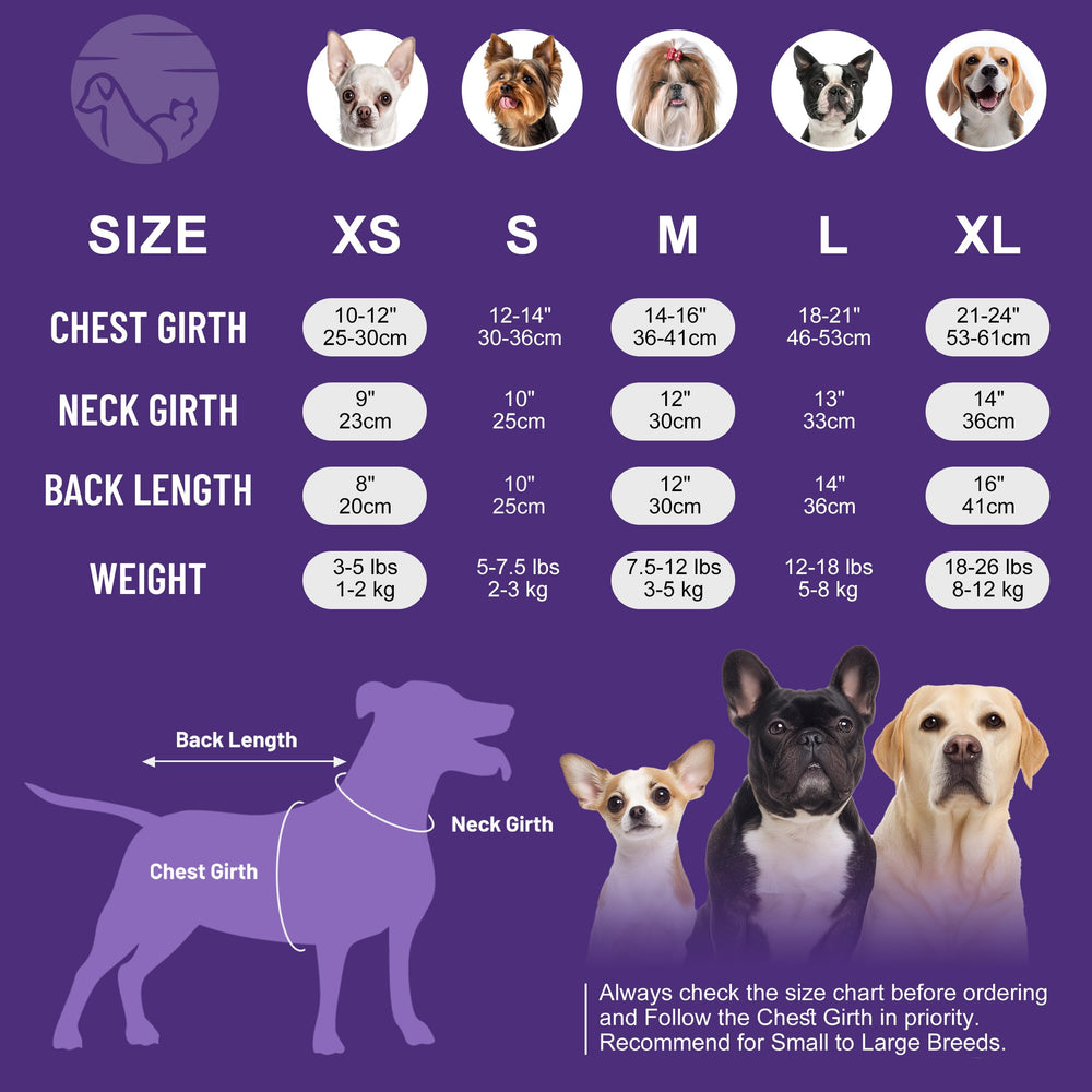 Prenda suave y transpirable de cyeollo, perfecta para piel sensible de perros pequeños.