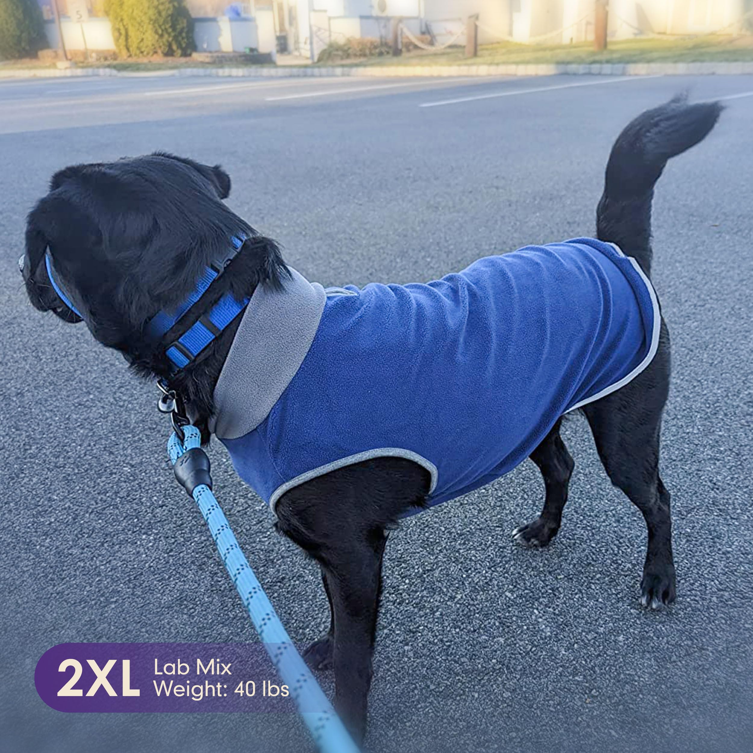 Cyeollo pullover dog sweater designed for versatile indoor wear and light outdoor use.