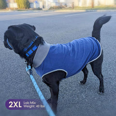 Cyeollo pullover dog sweater designed for versatile indoor wear and light outdoor use.