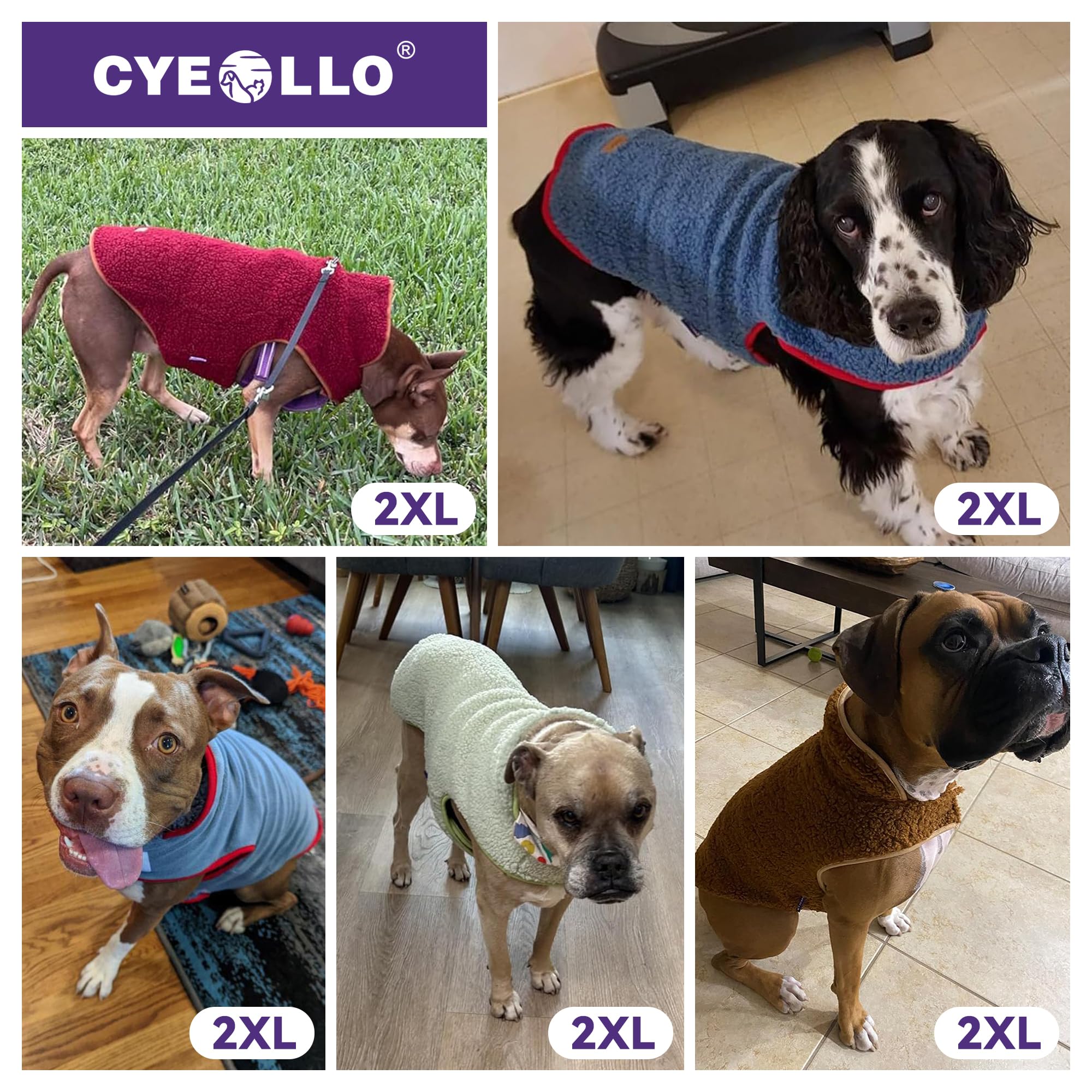 Cyeollo size guide image showing chest and back measurements