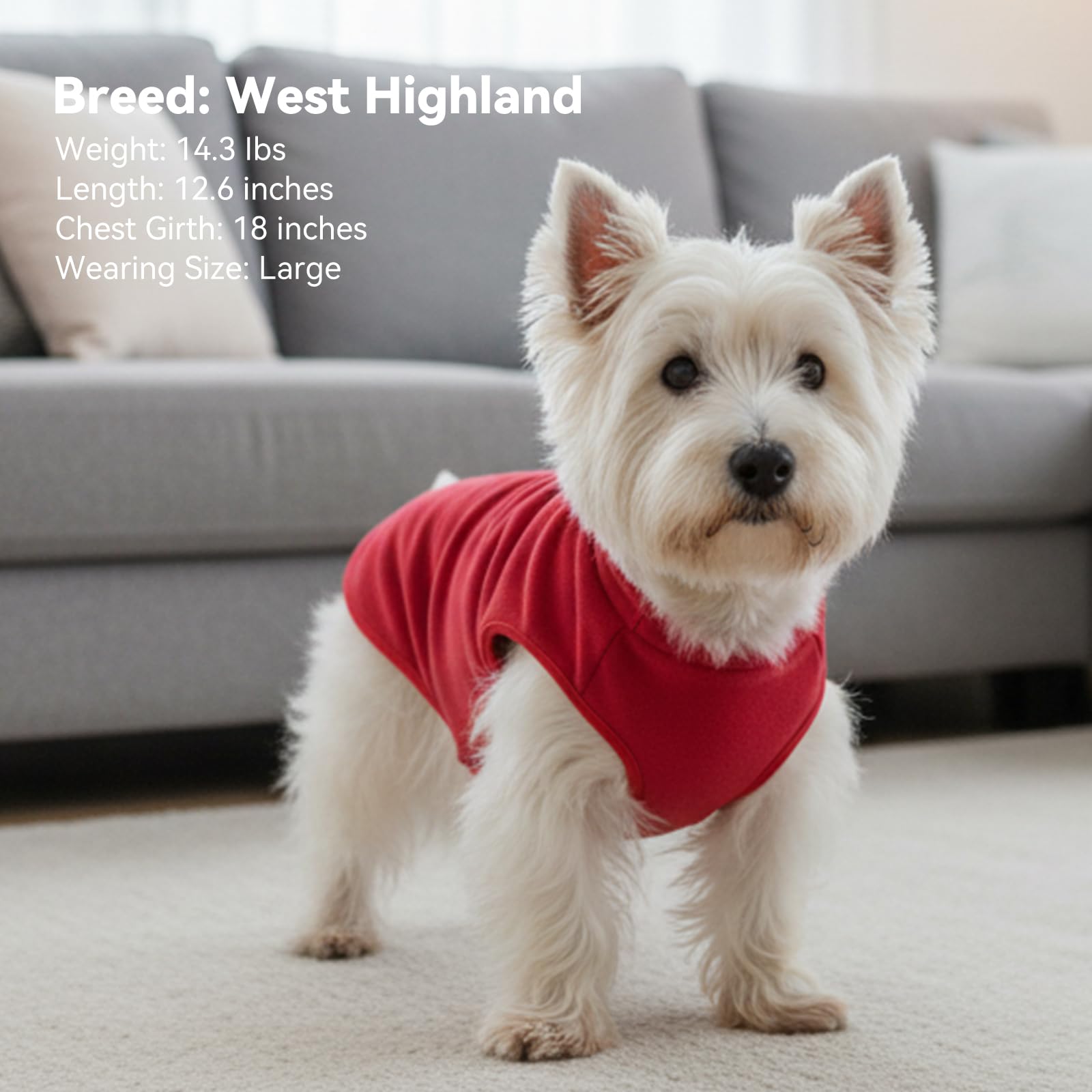 cyeollo size guide ensures a comfortable fit for medium to large breeds.